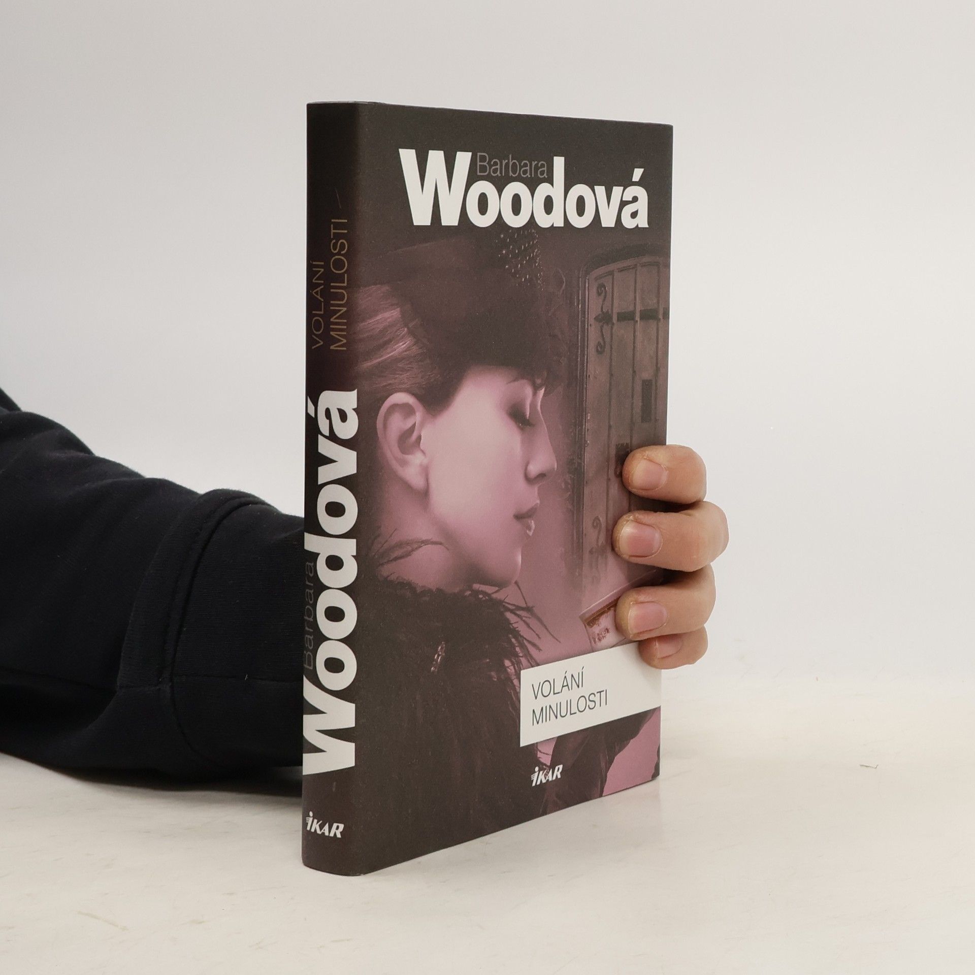 Barbara Wood Volání minulosti