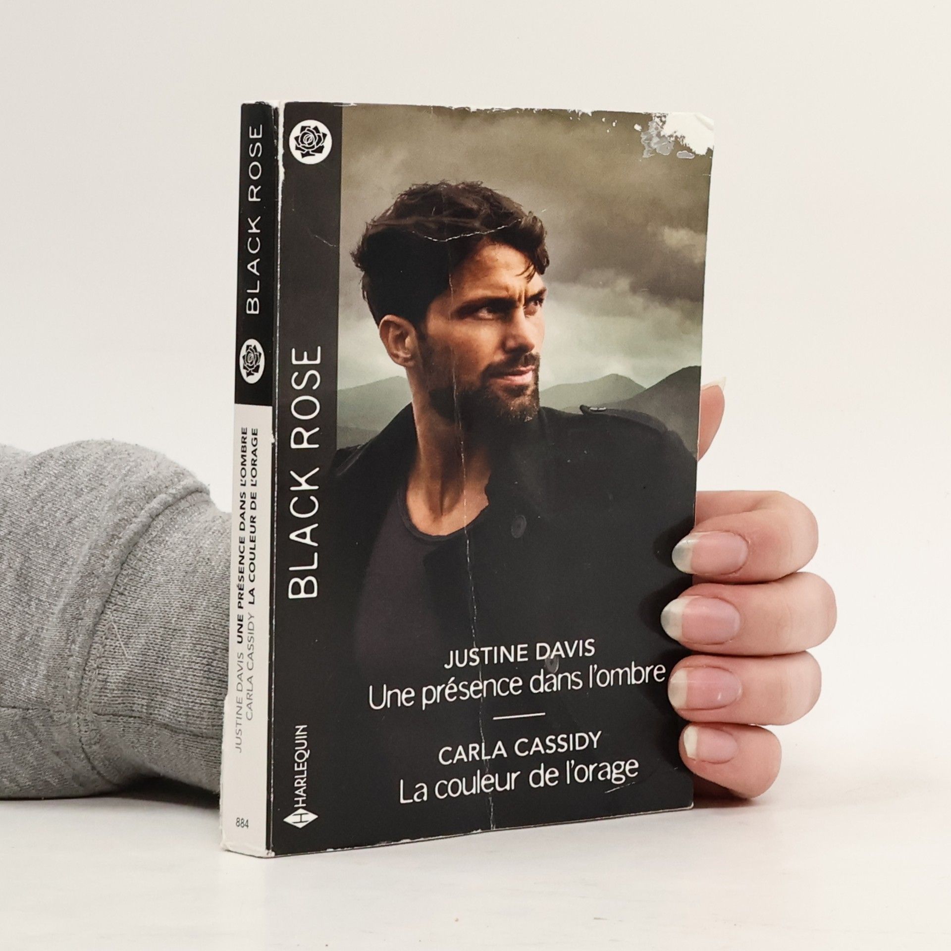 Justine Davis Une présence dans l'ombre. La couleur de l'orage