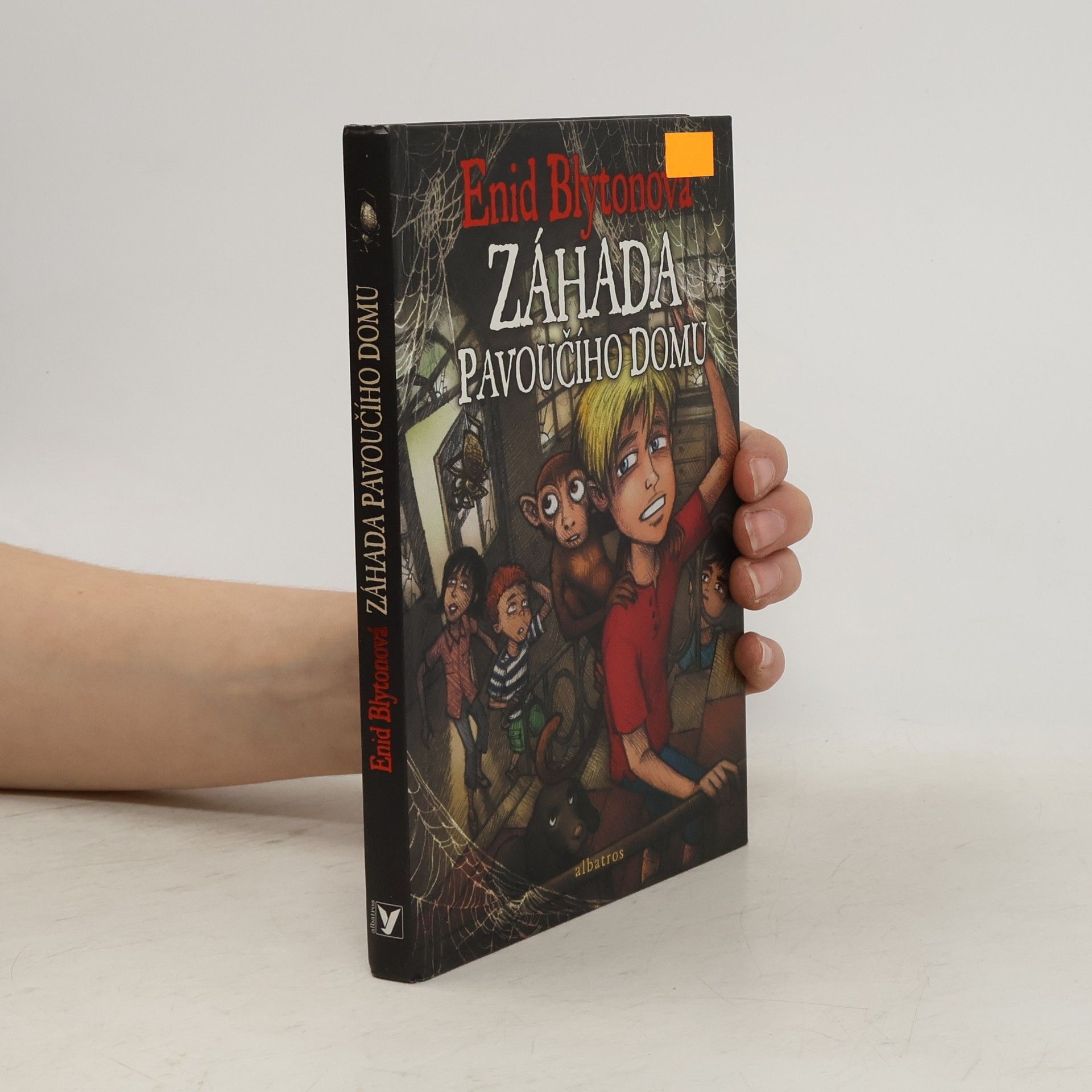 Enid Blyton Záhada Pavoučího domu