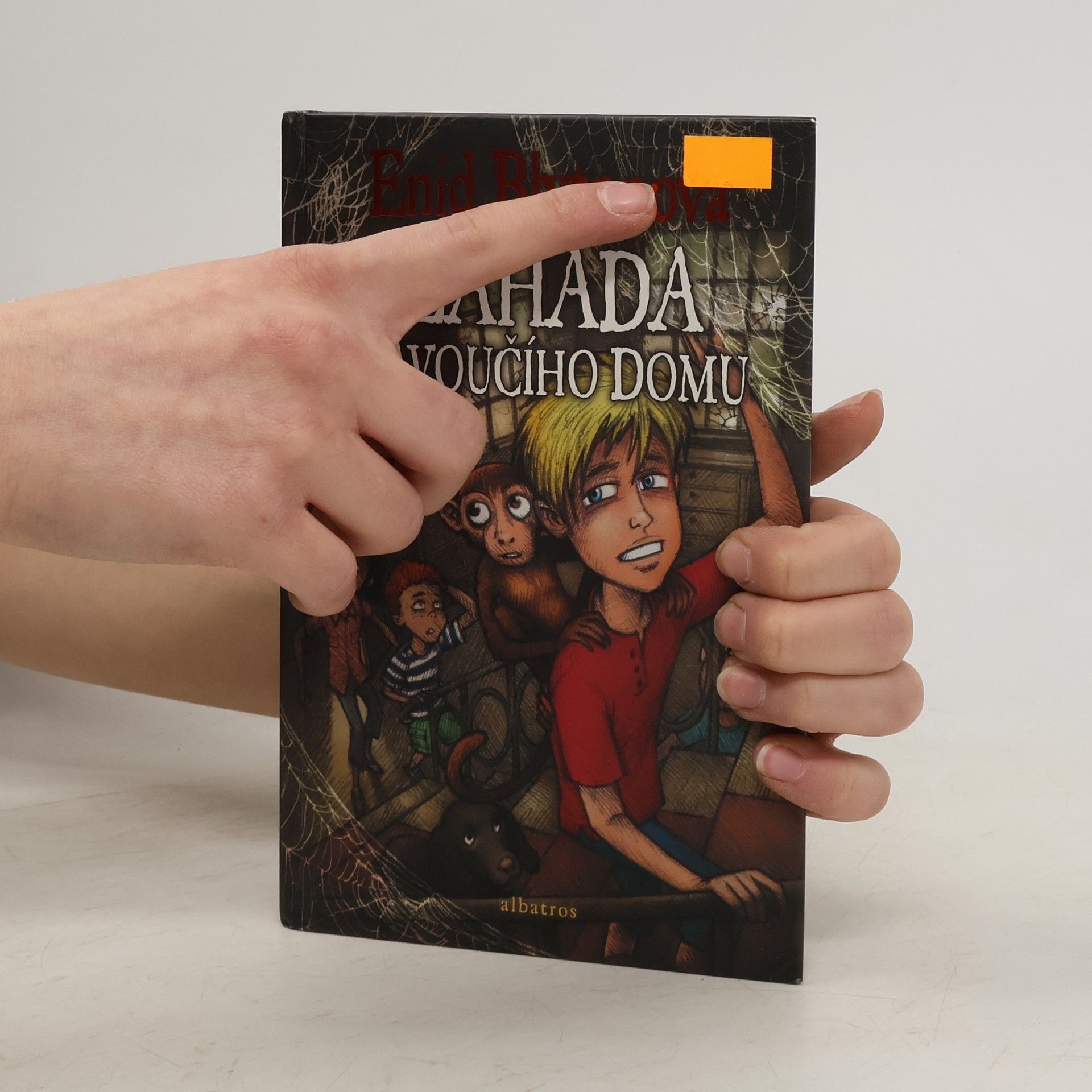 Enid Blyton Záhada Pavoučího domu