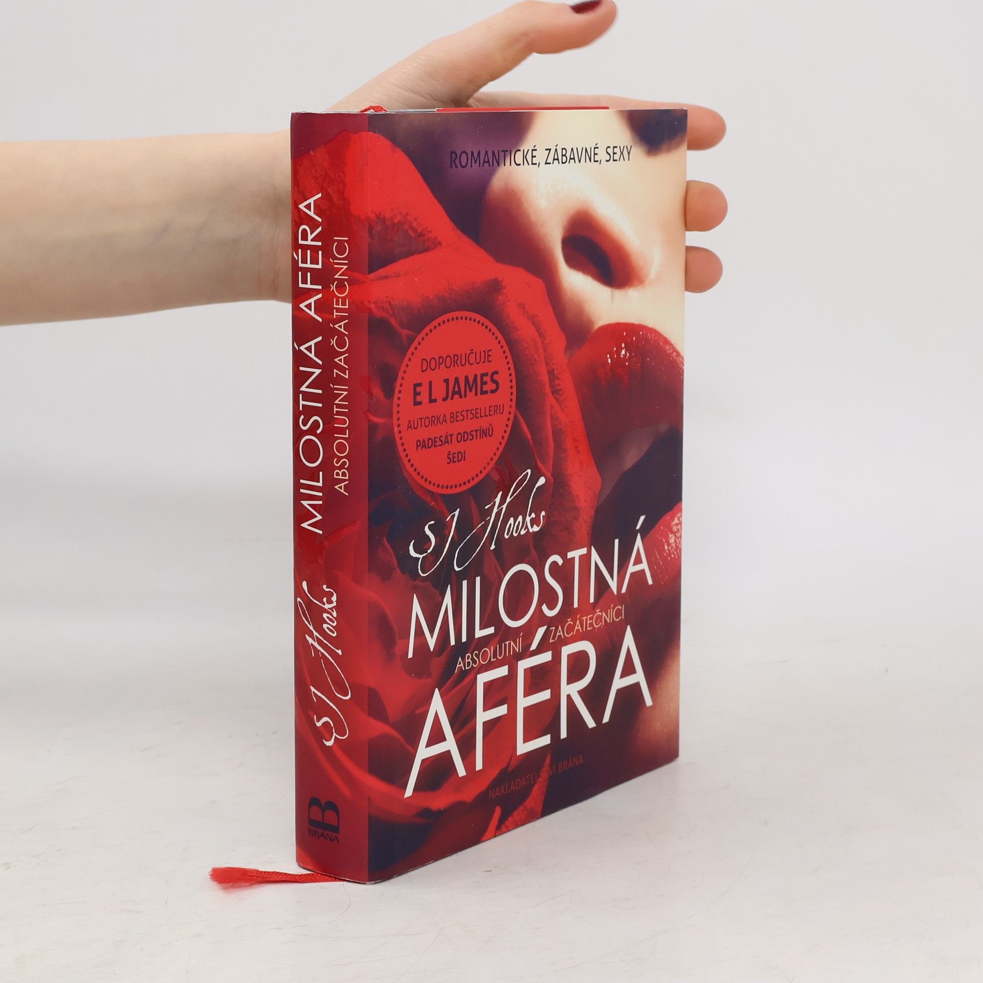 S. J. Hooks Milostná aféra