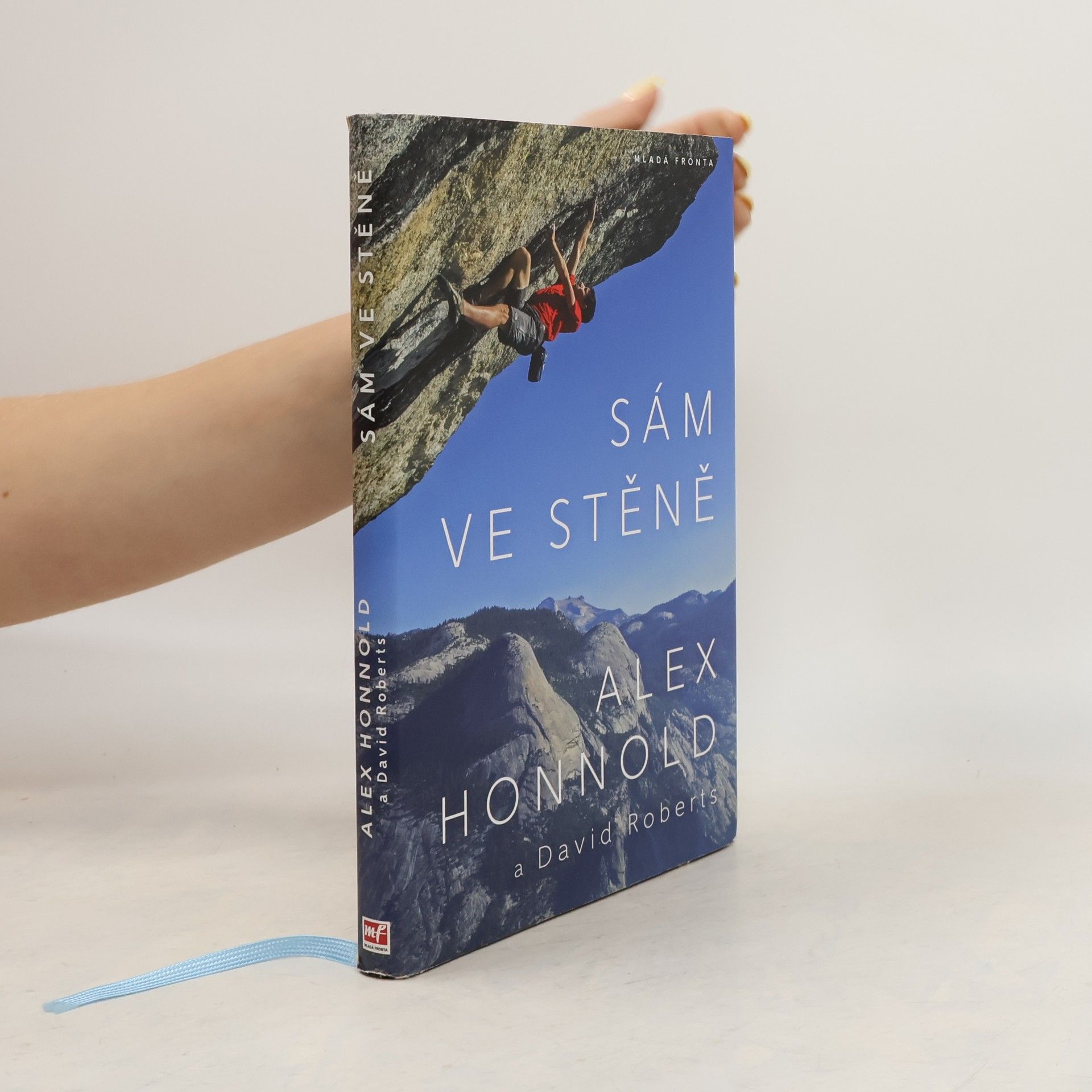 David Roberts Sám ve stěně