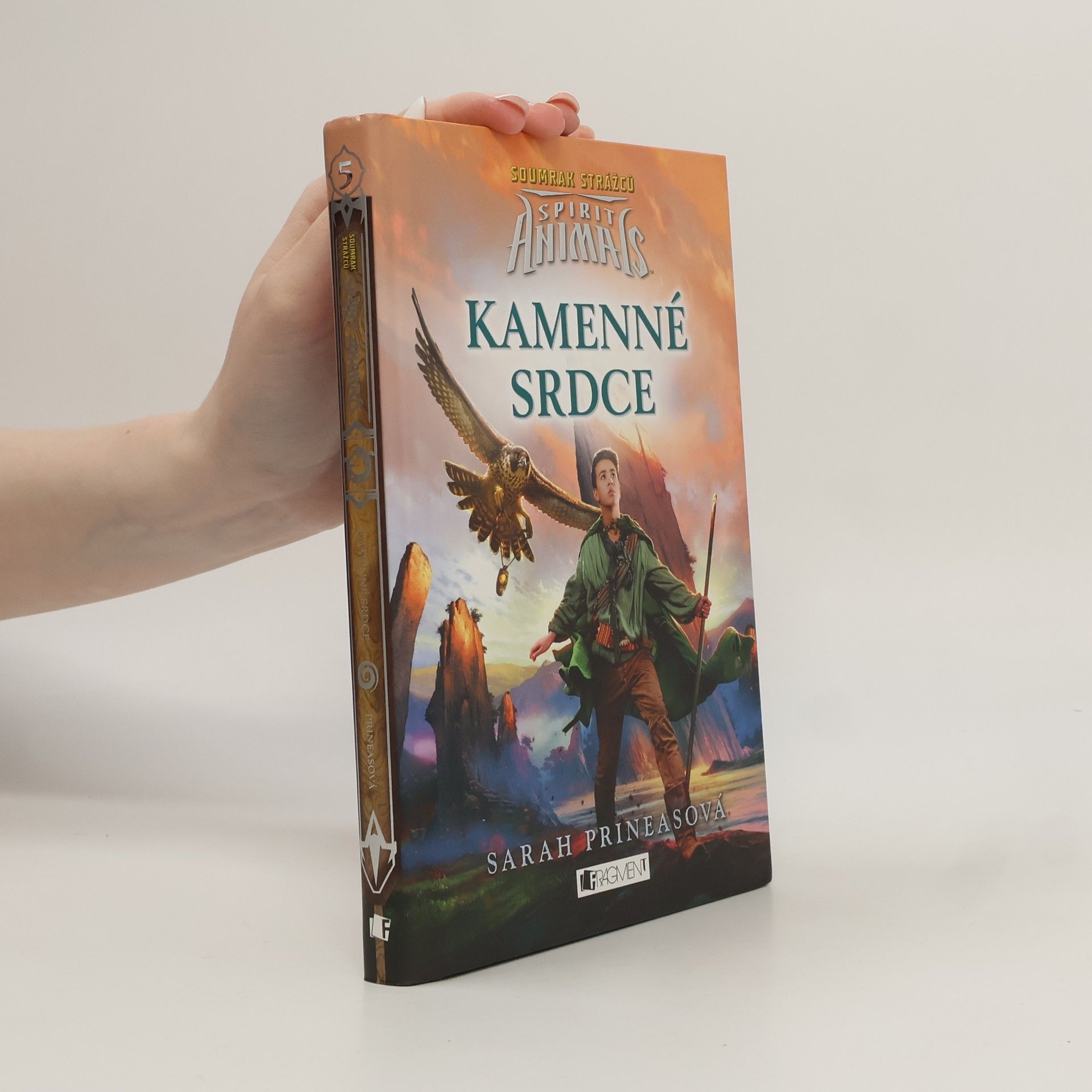 Sarah Prineas Kamenné srdce