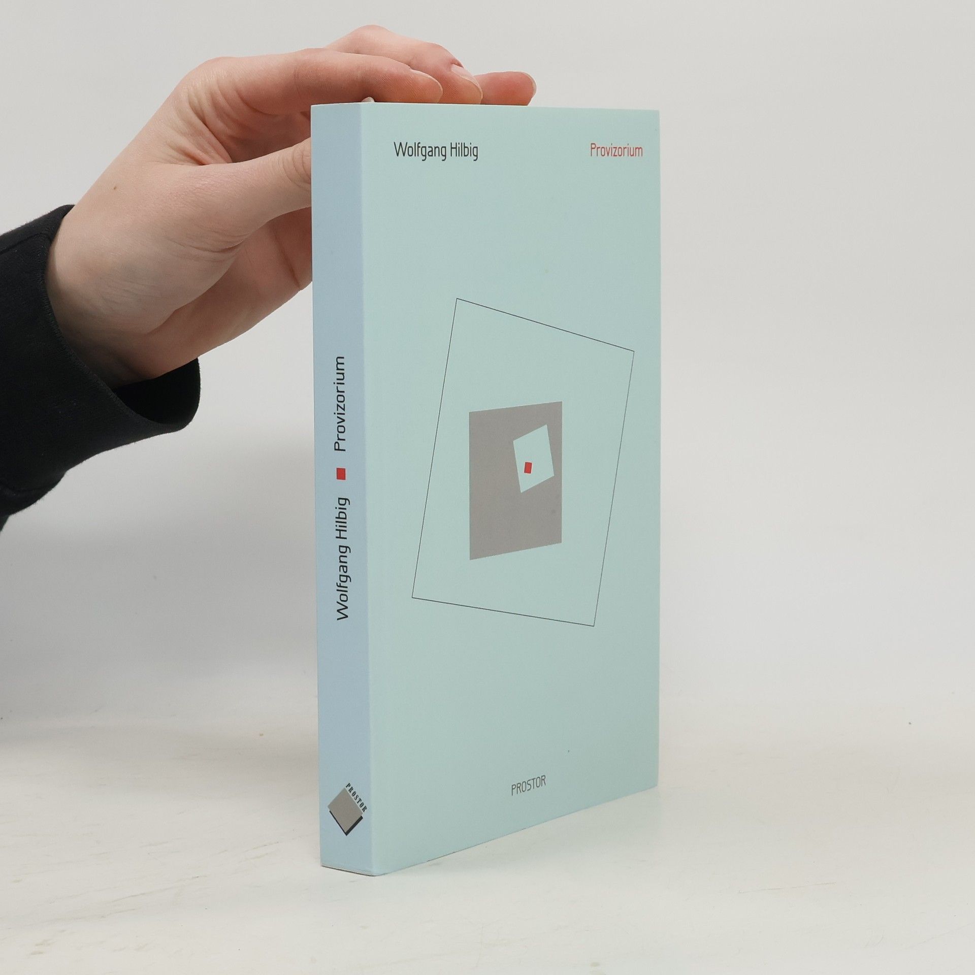 Wolfgang Hilbig Provizorium