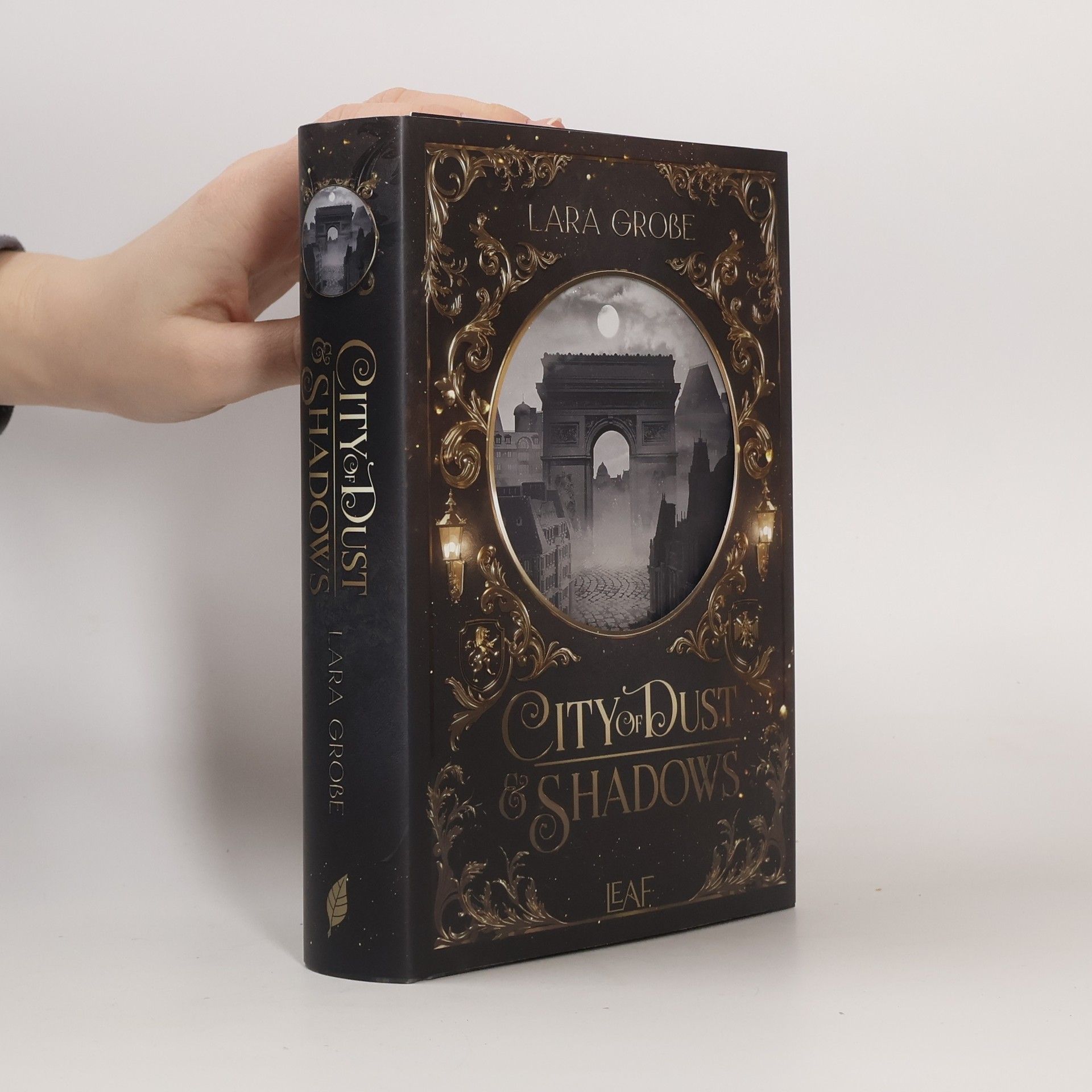 Lara Große City of Dust and Shadows