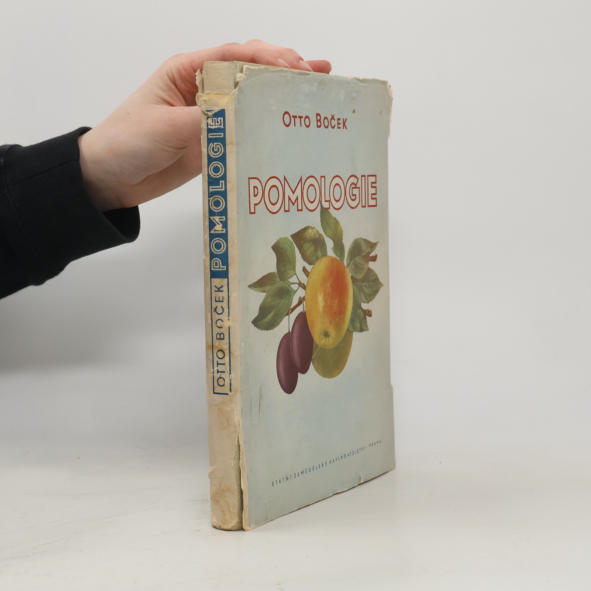 Otto Boček Pomologie