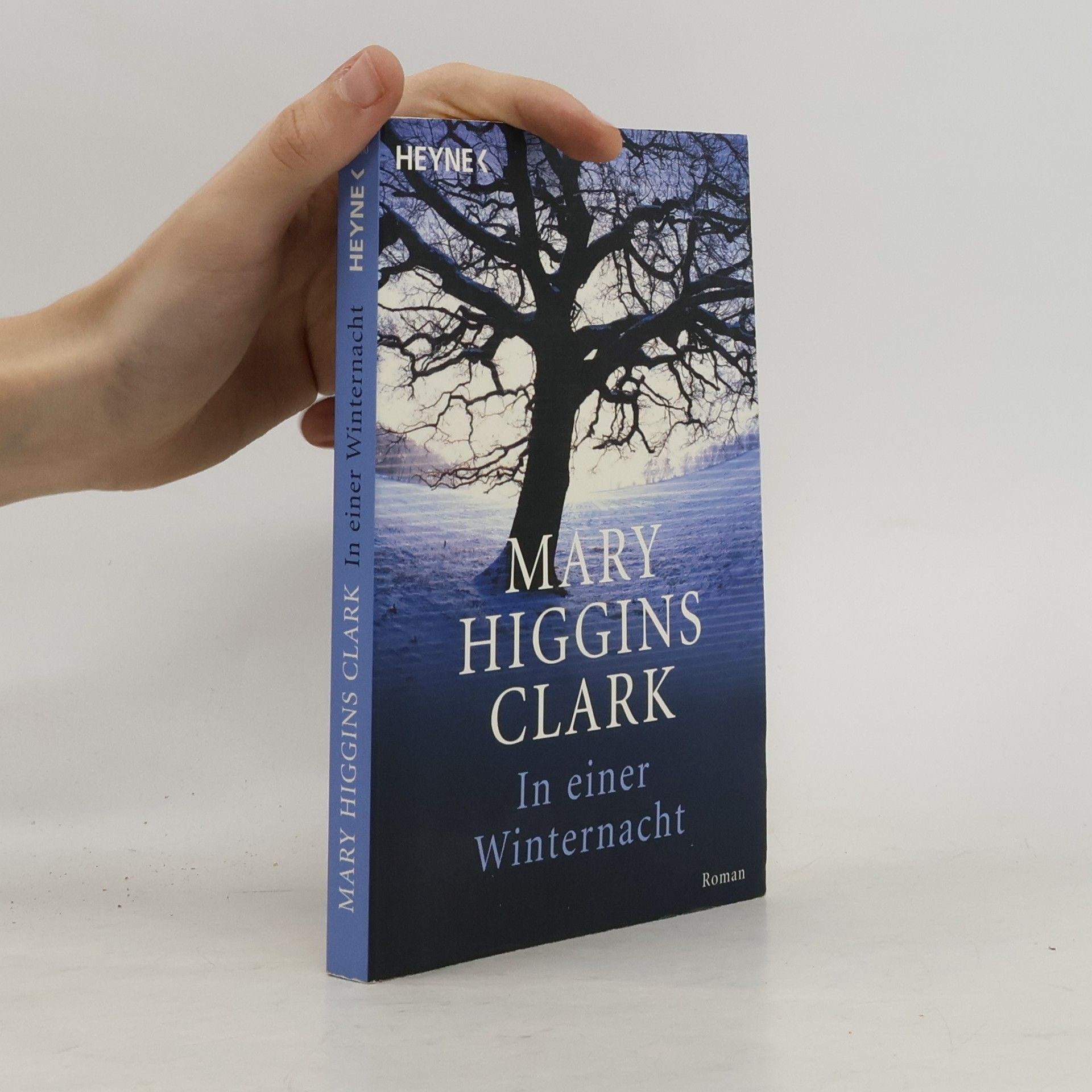 Mary Higgins Clark In einer Winternacht