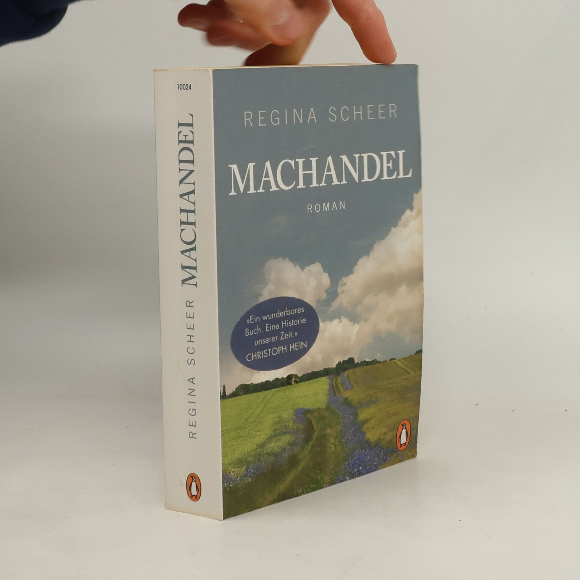 Regina Scheer Machandel