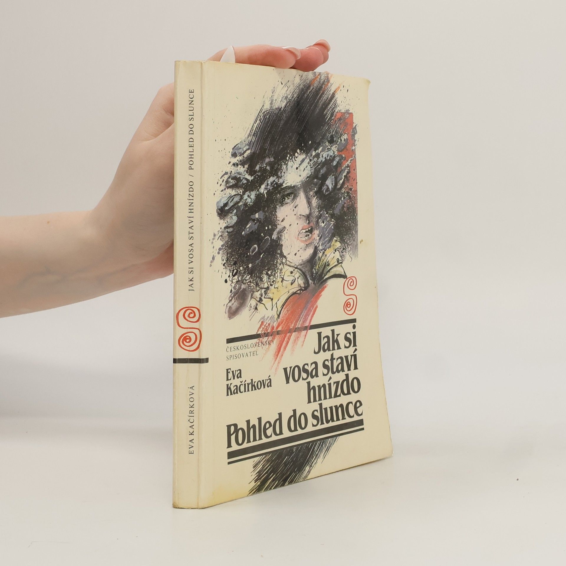 Eva Kačírková Jak si vosa staví hnízdo. Pohled do slunce