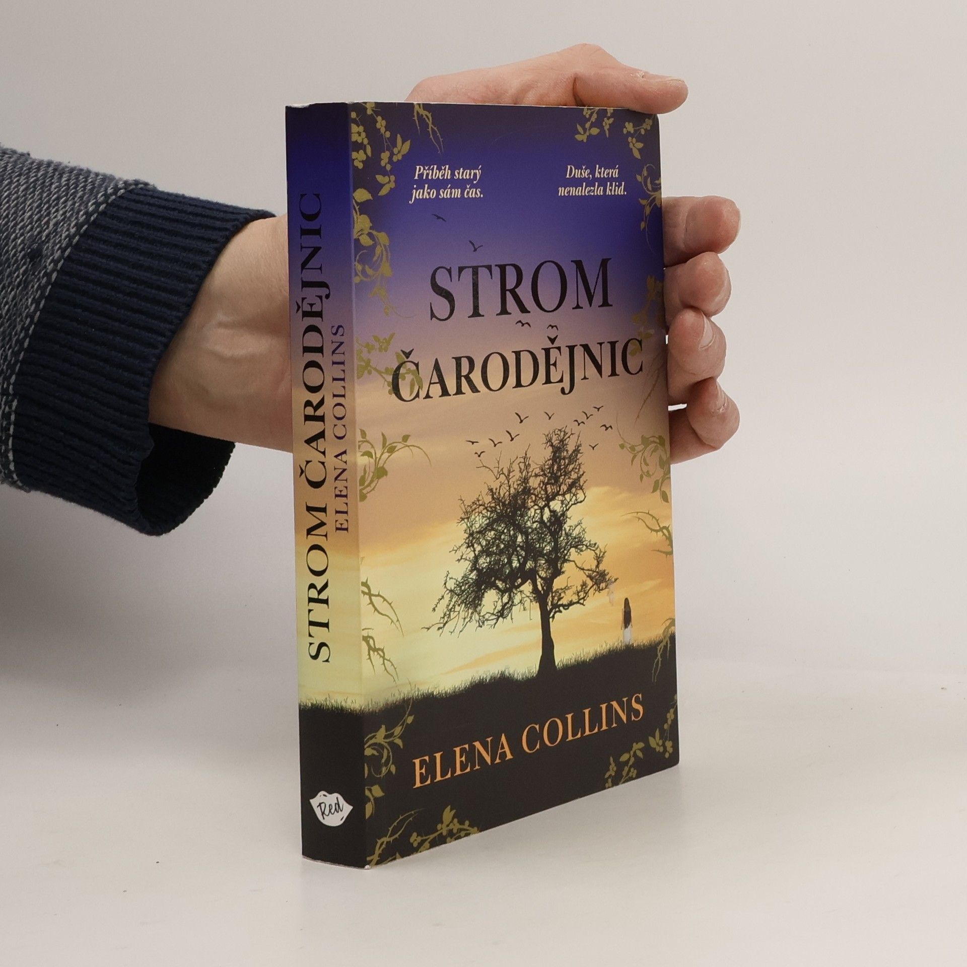 Jana Buchalová Strom čarodějnic