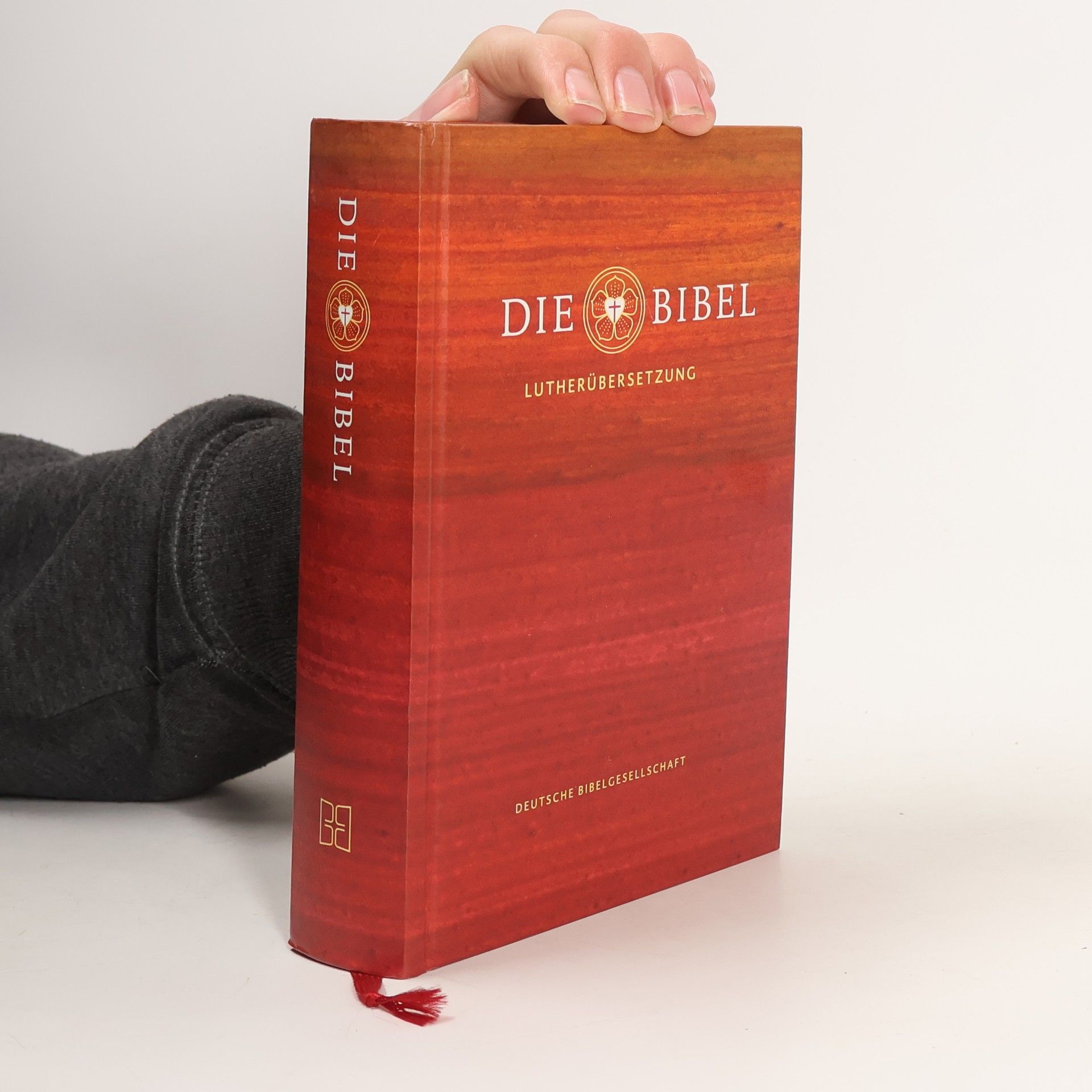 Martin Luther Die Bibel nach Martin Luthers Übersetzung