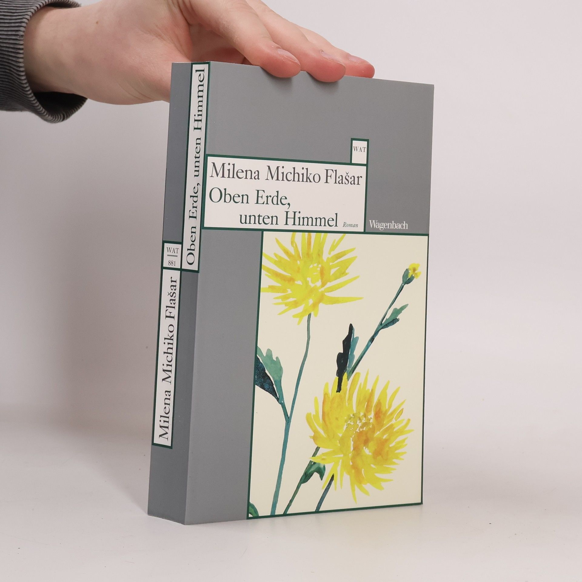 Milena Michiko Flašar Oben Erde, unten Himmel