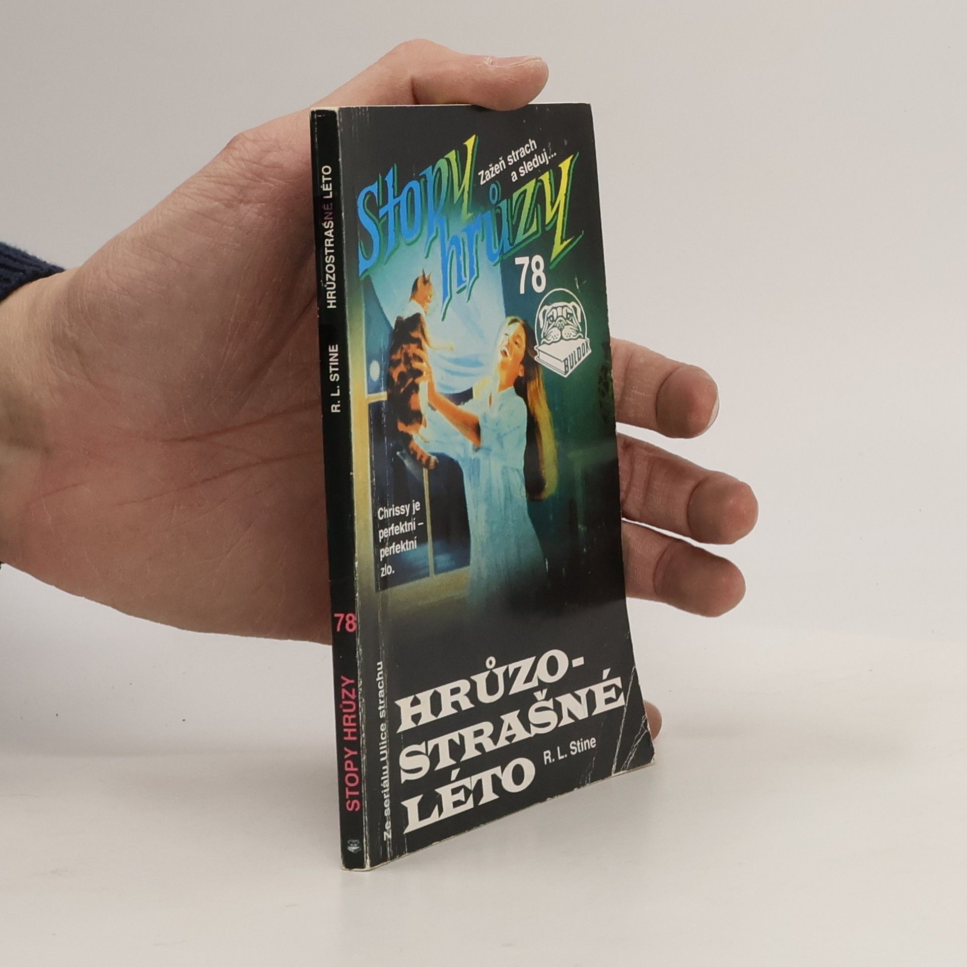 R. L. Stine Hrůzostrašné léto