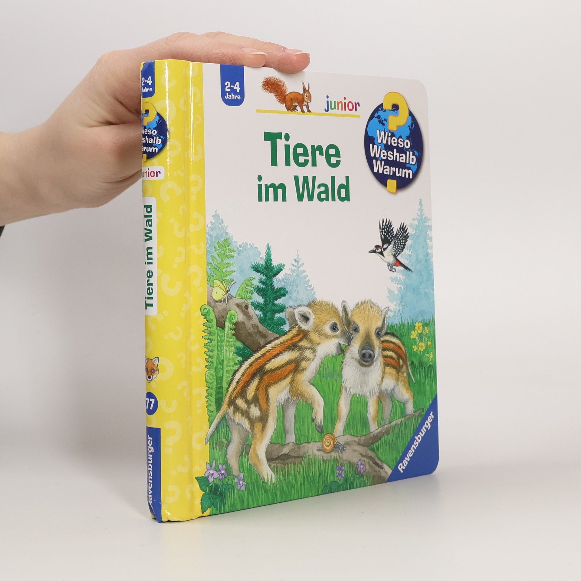 Anne Ebert Wieso? Weshalb? Warum? junior - 77: Tiere im Wald