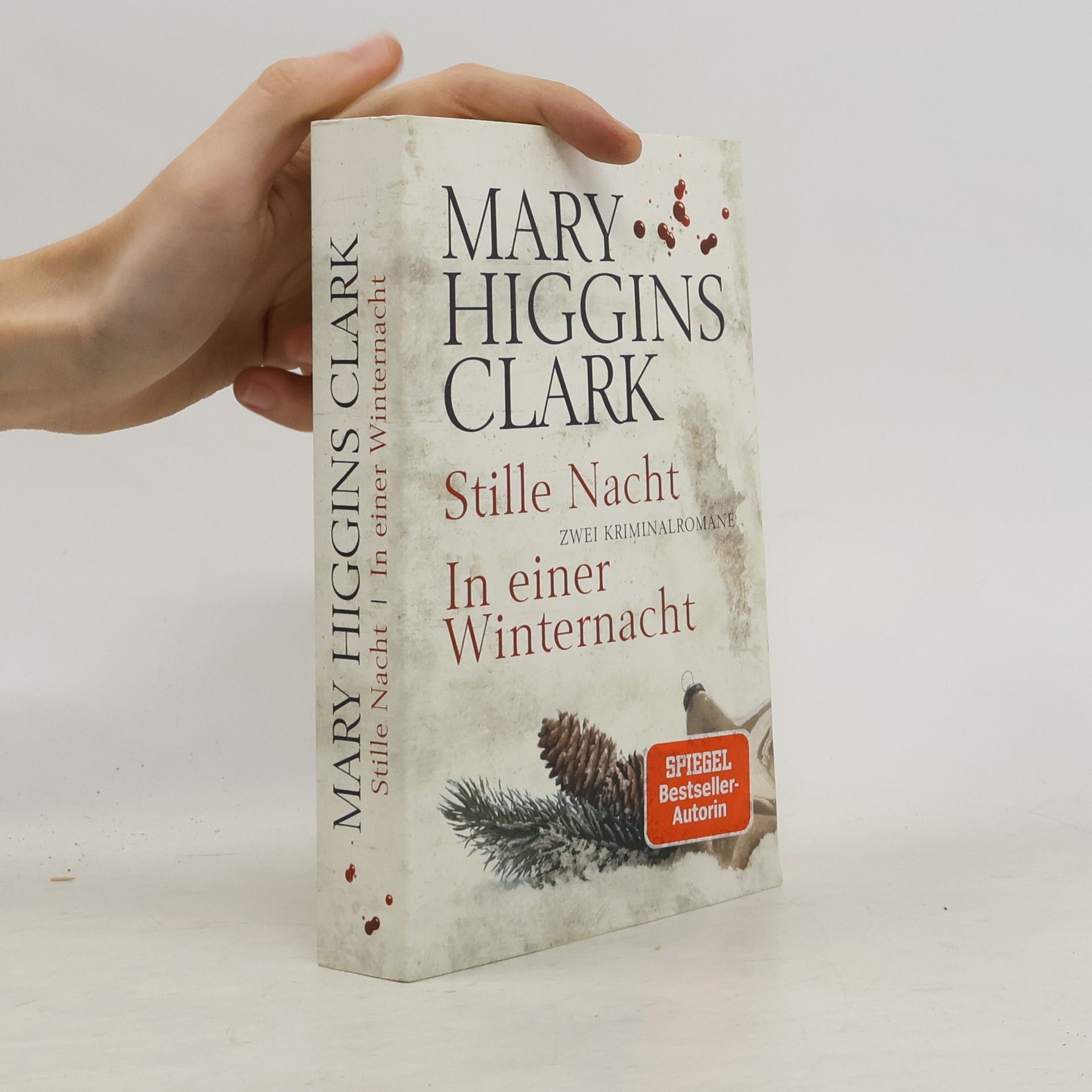 Mary Higgins Clark In einer Winternacht