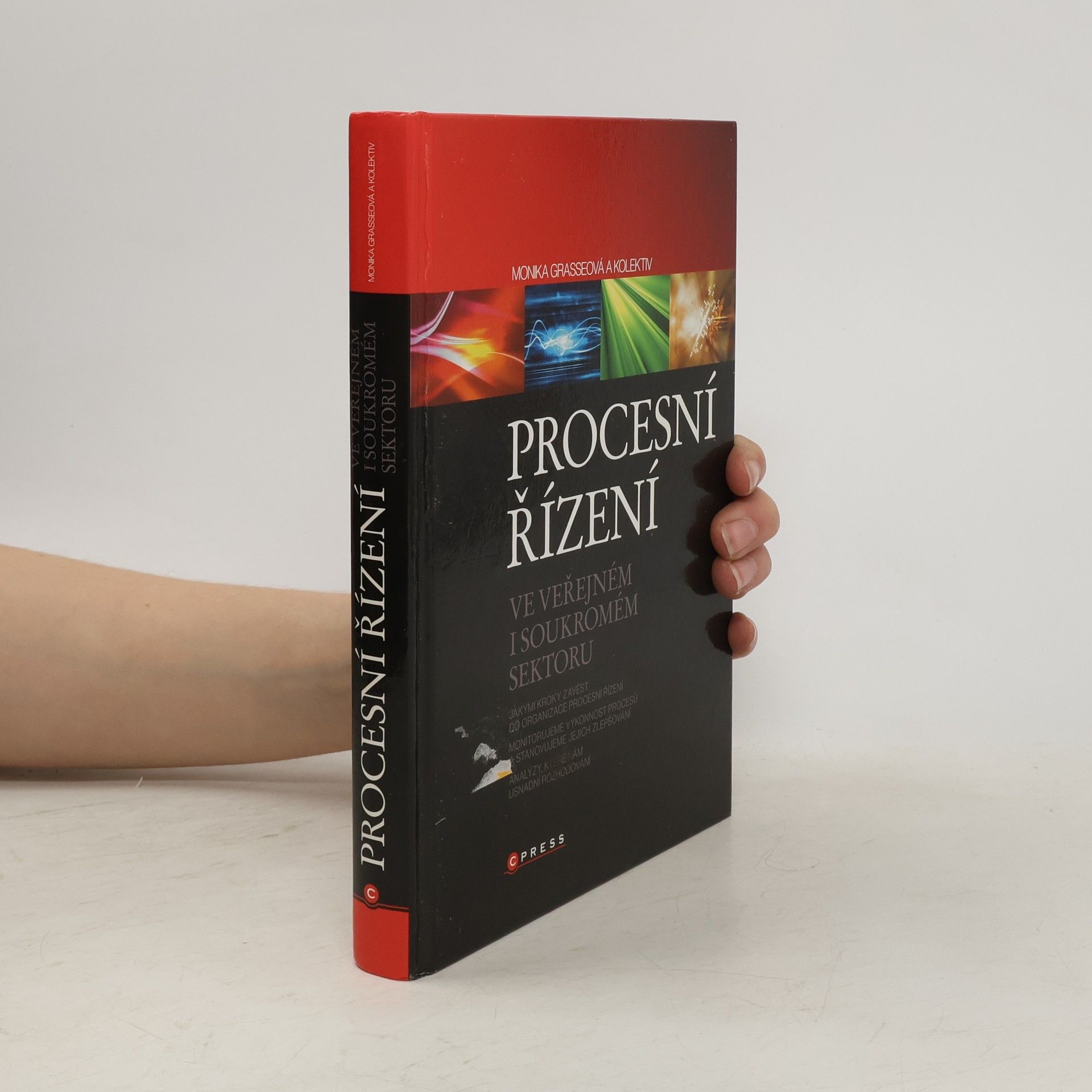 Roman Horak Procesní řízení ve veřejném sektoru : teoretická východiska a praktické příklady