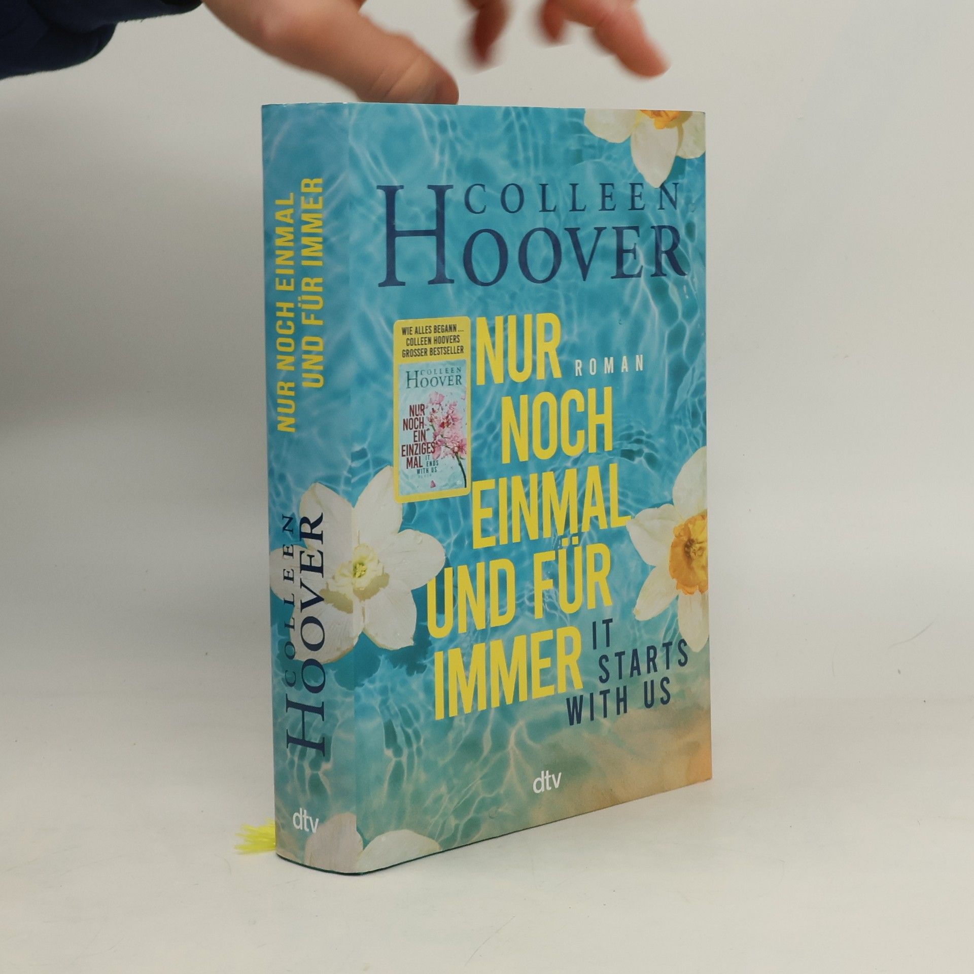 Colleen Hoover Nur noch einmal und für immer