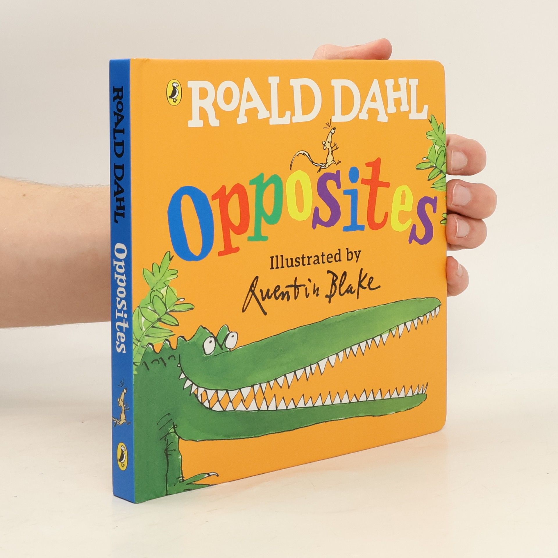 Roald Dahl Opposites