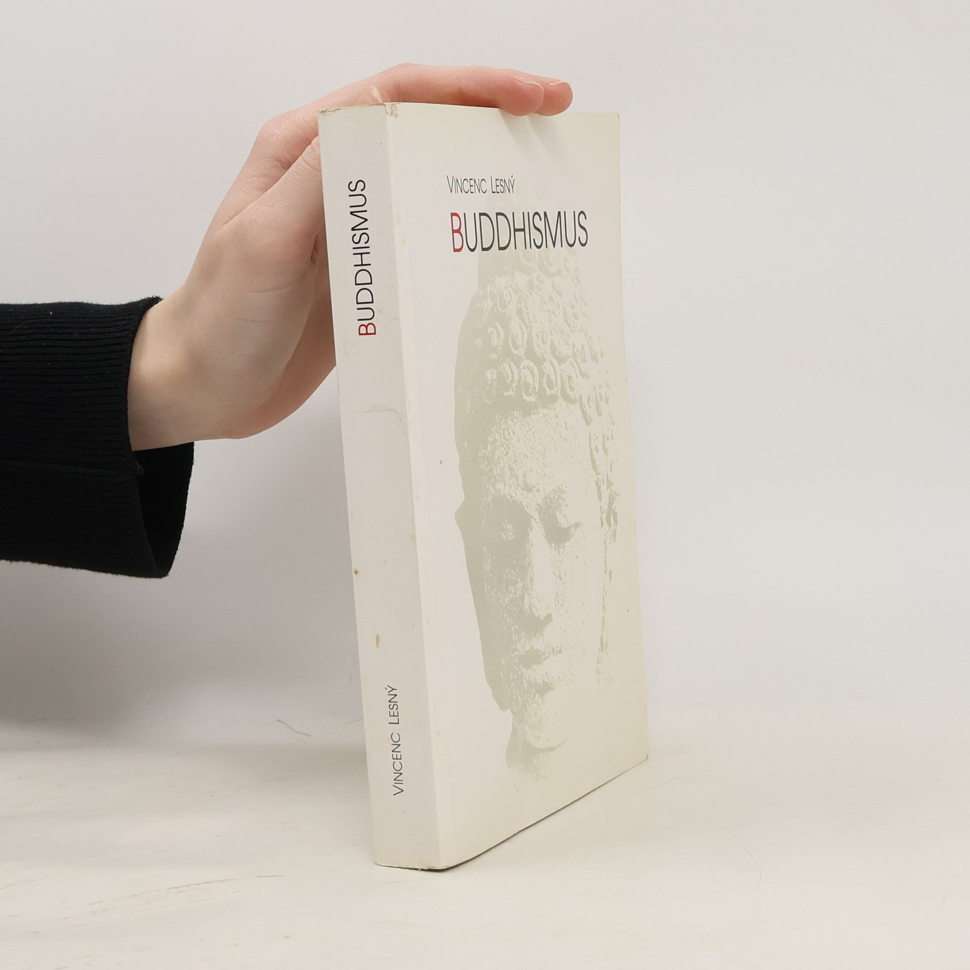 Vincenc Lesný Buddhismus