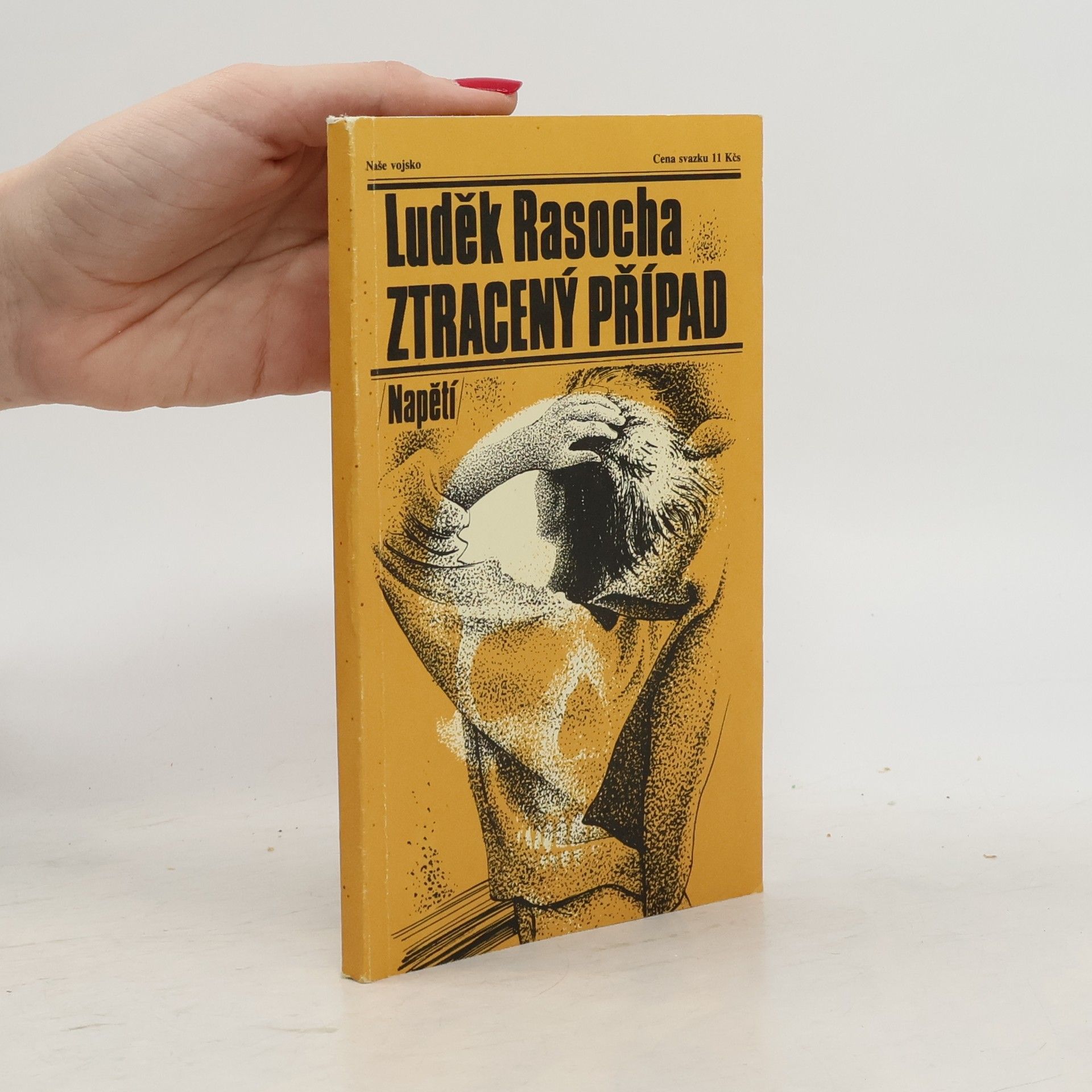 Luděk Rasocha Ztracený případ