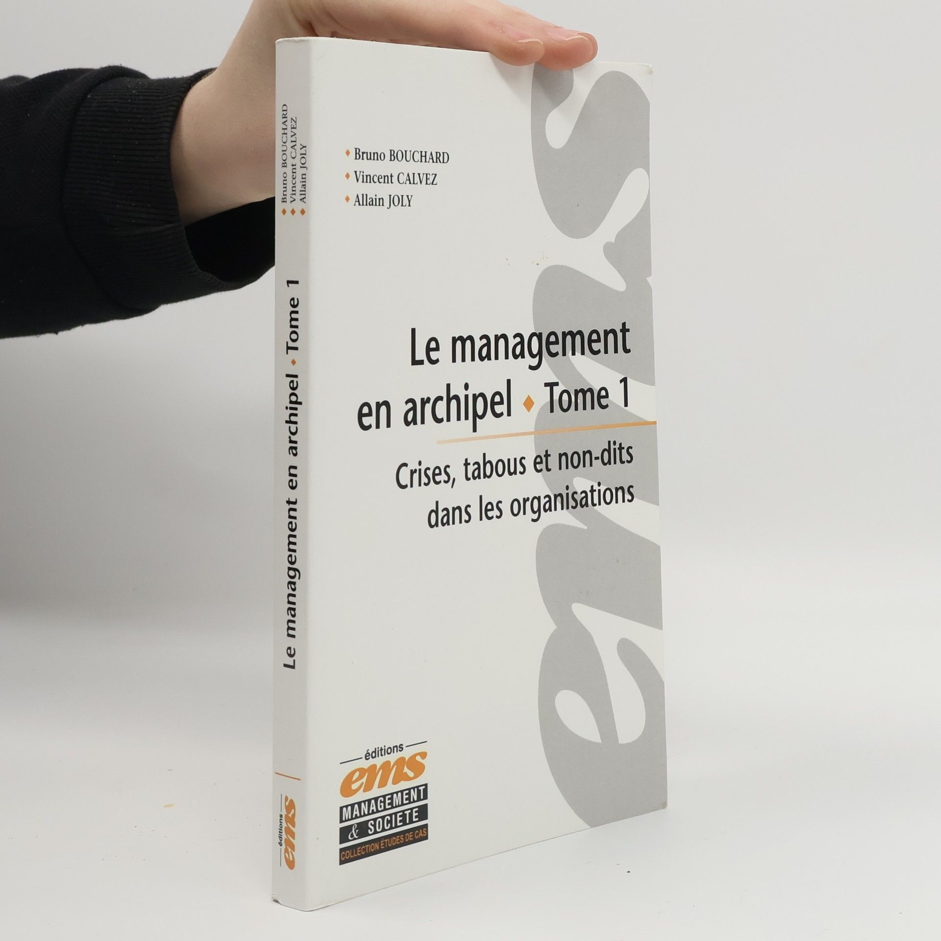 Bruno Bouchard Le management en archipel 1