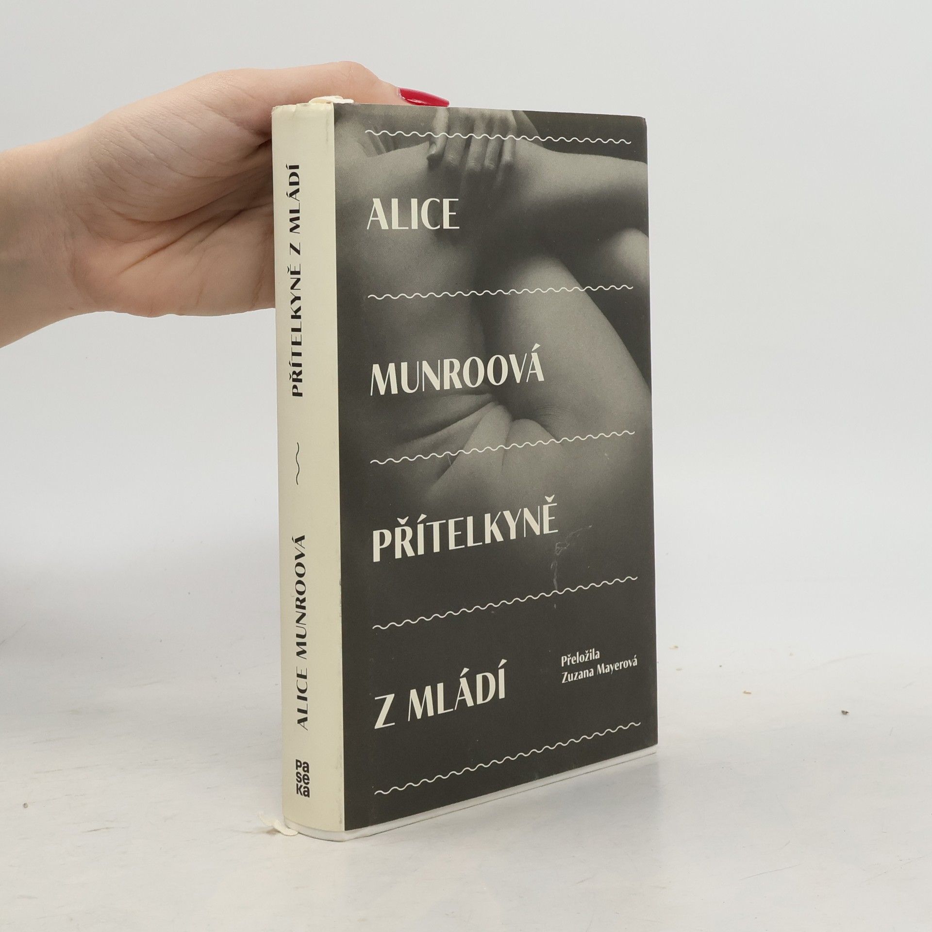 Alice Munro Přítelkyně z mládí