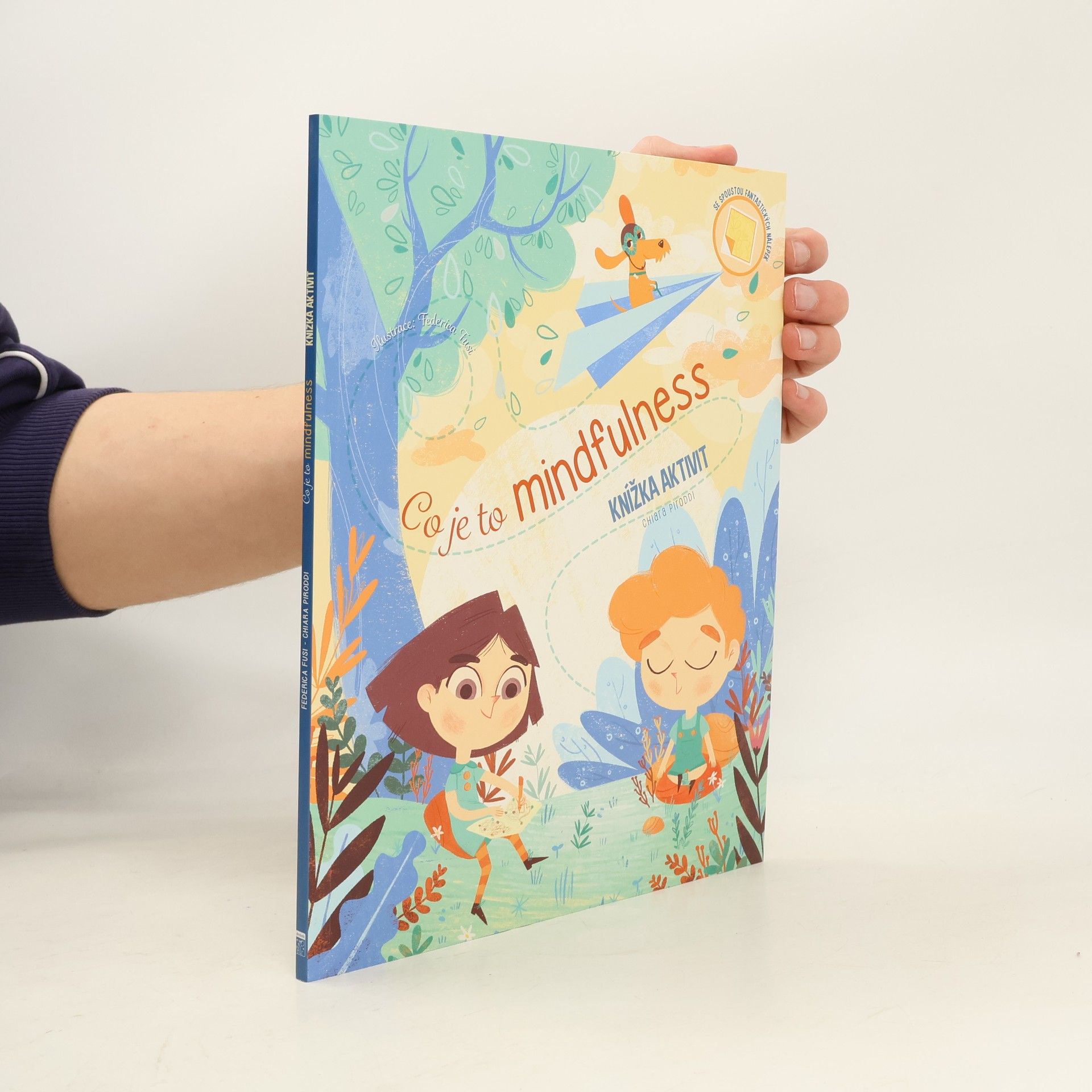 Chiara Piroddi Co je to Mindfulness. Knížka aktivit