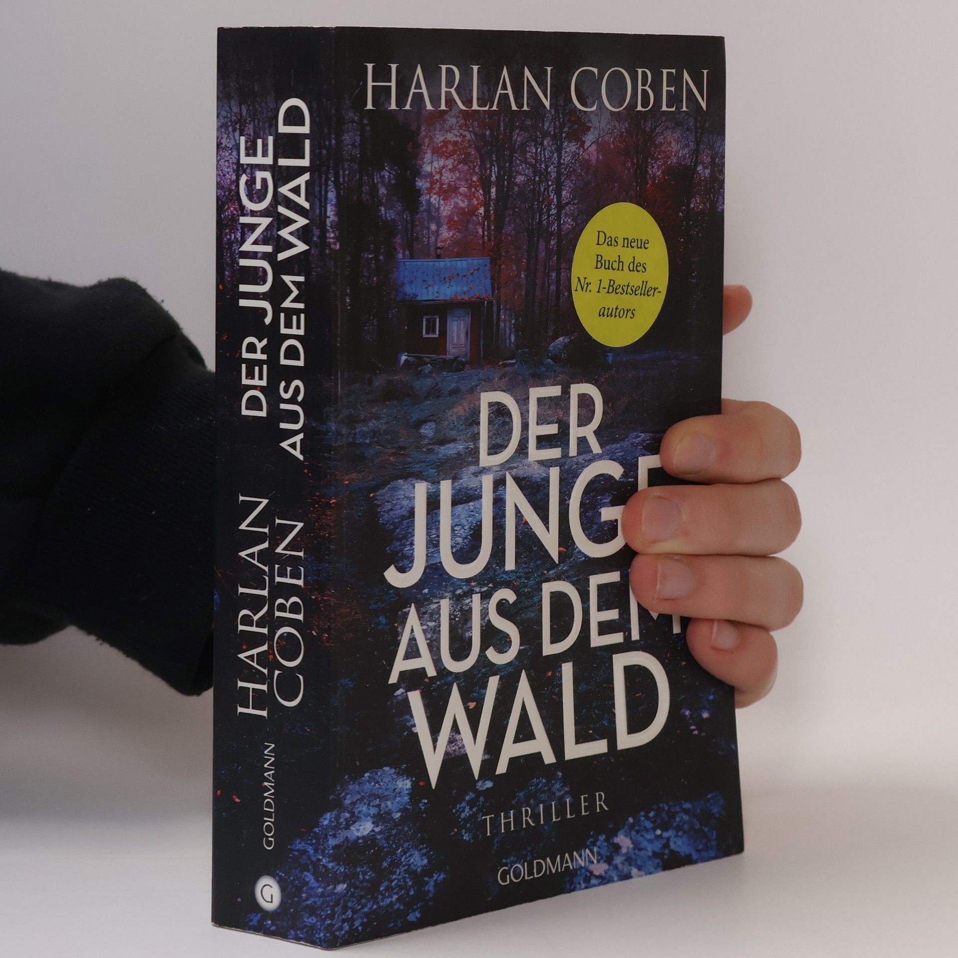 Harlan Coben Der Junge aus dem Wald