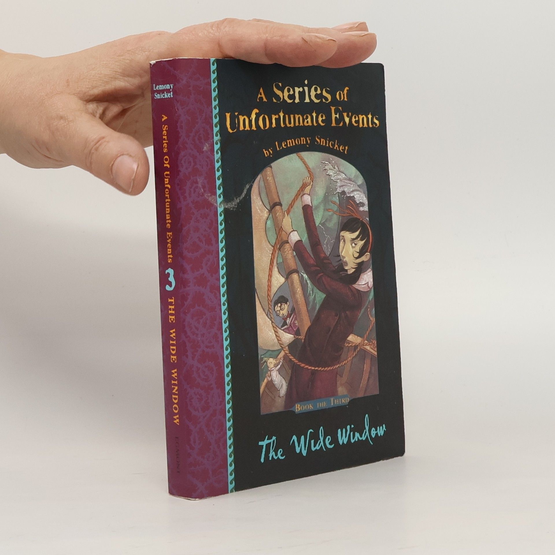 Lemony Snicket A series of unfortunate events. The wide window. Book the third