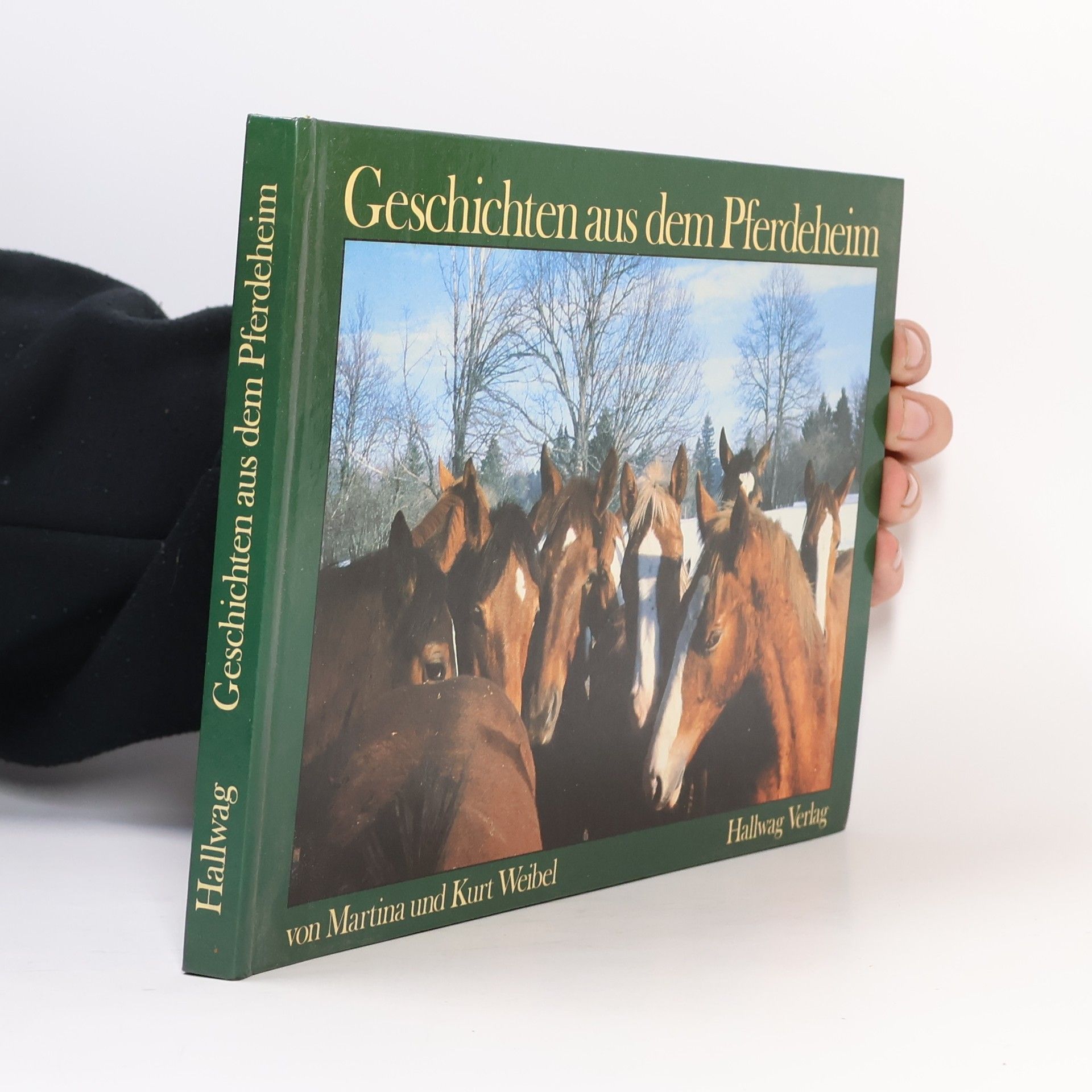 Martina Weibel Geschichten aus dem Pferdeheim