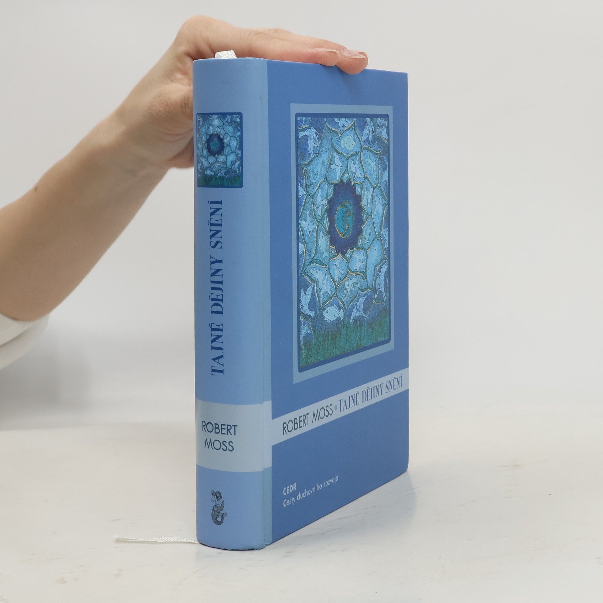 Tajné dějiny snění