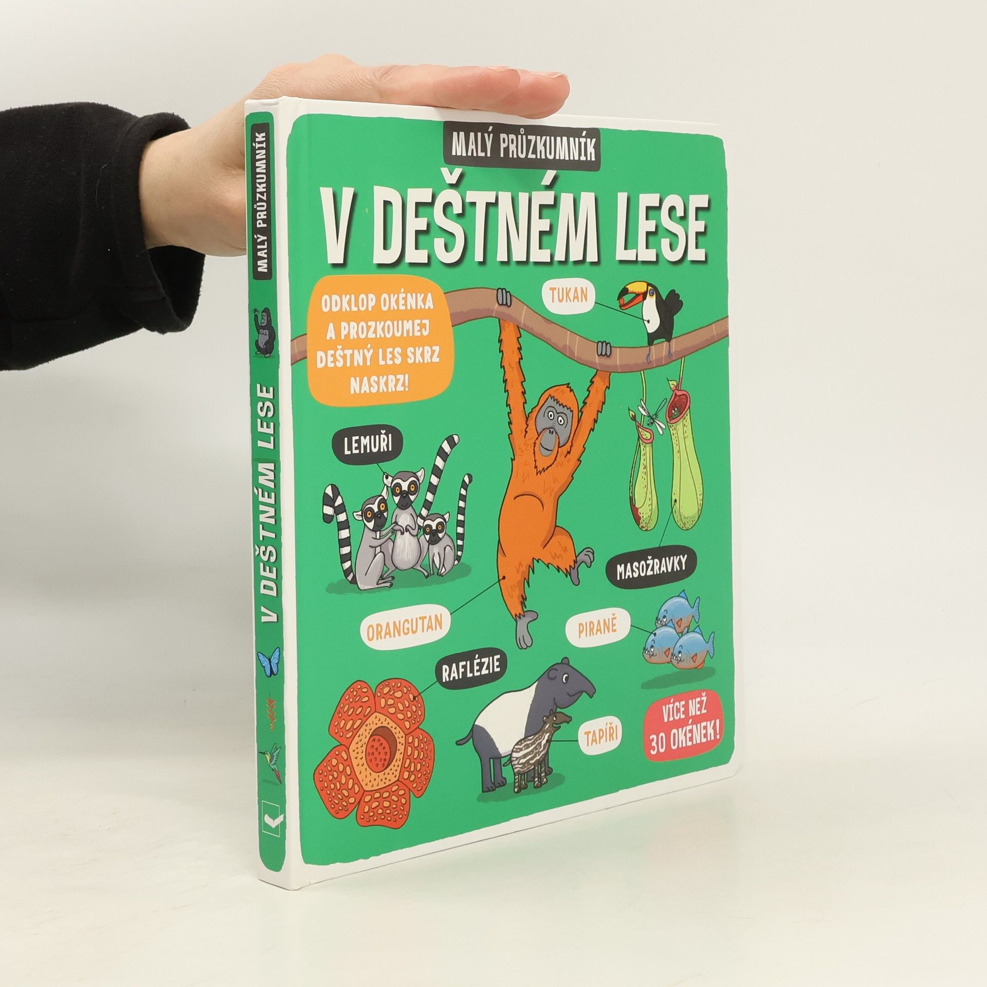 kolektiv Malý průzkumník: V deštném lese