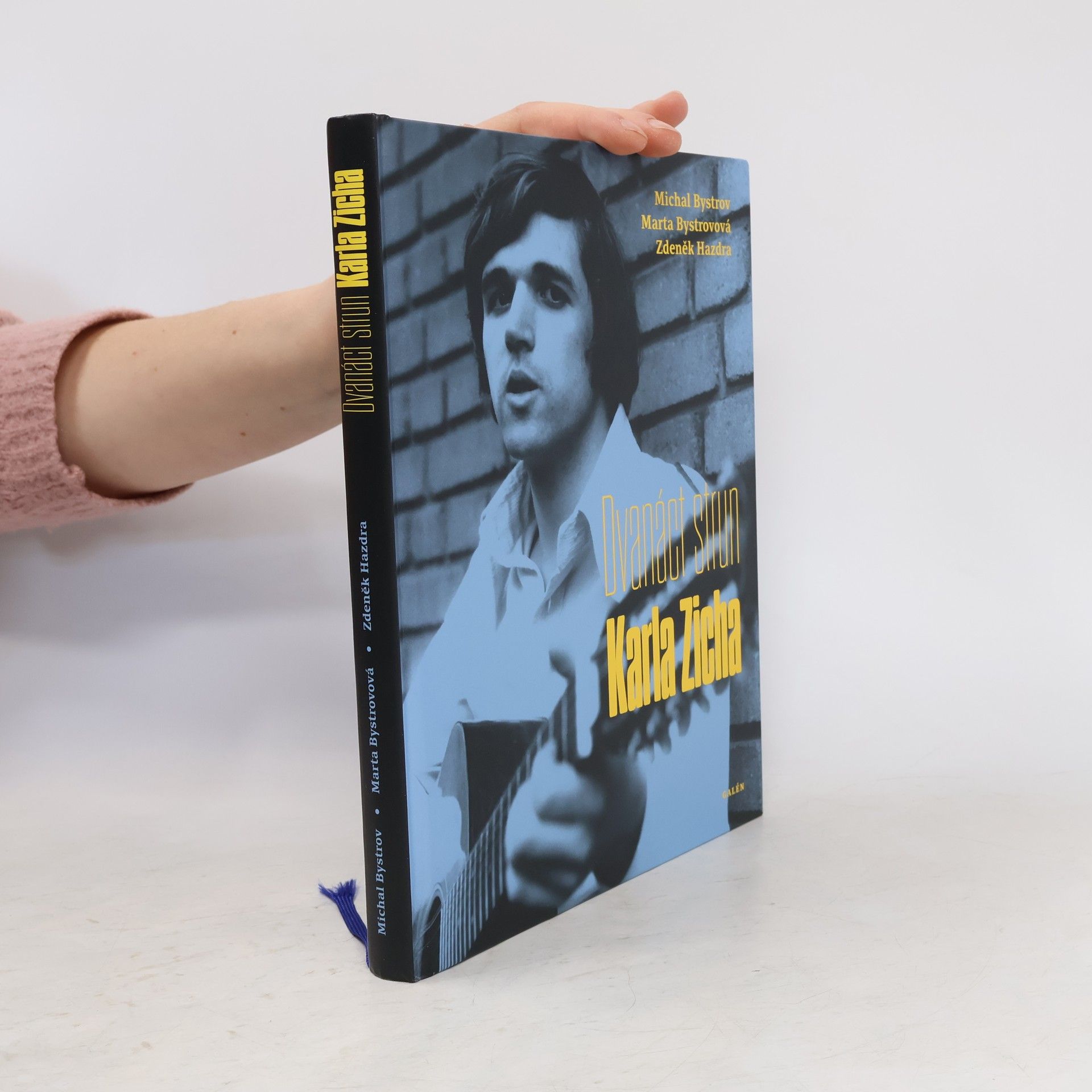 Michal Bystrov Dvanáct strun Karla Zicha