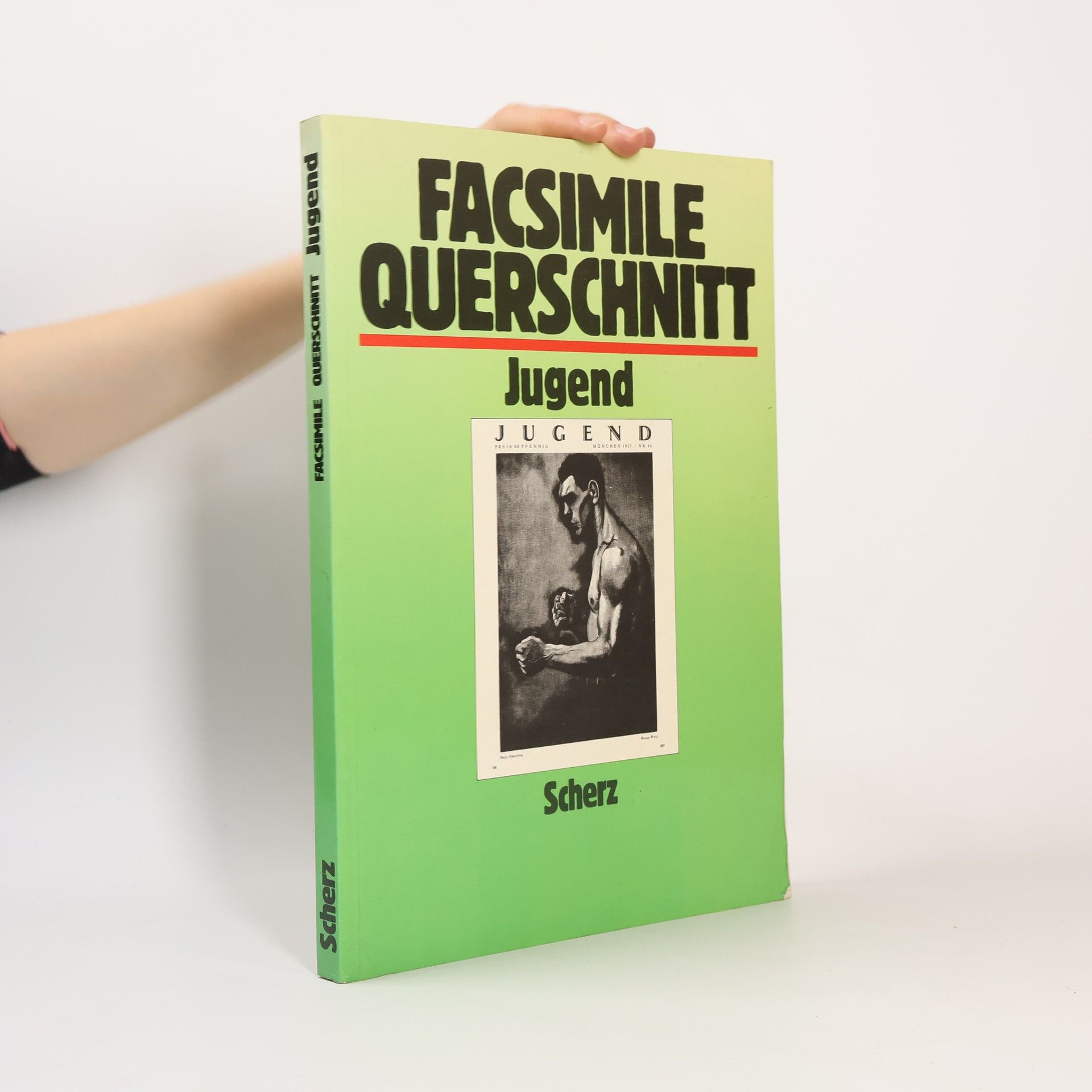 Facsimile Querschnitt