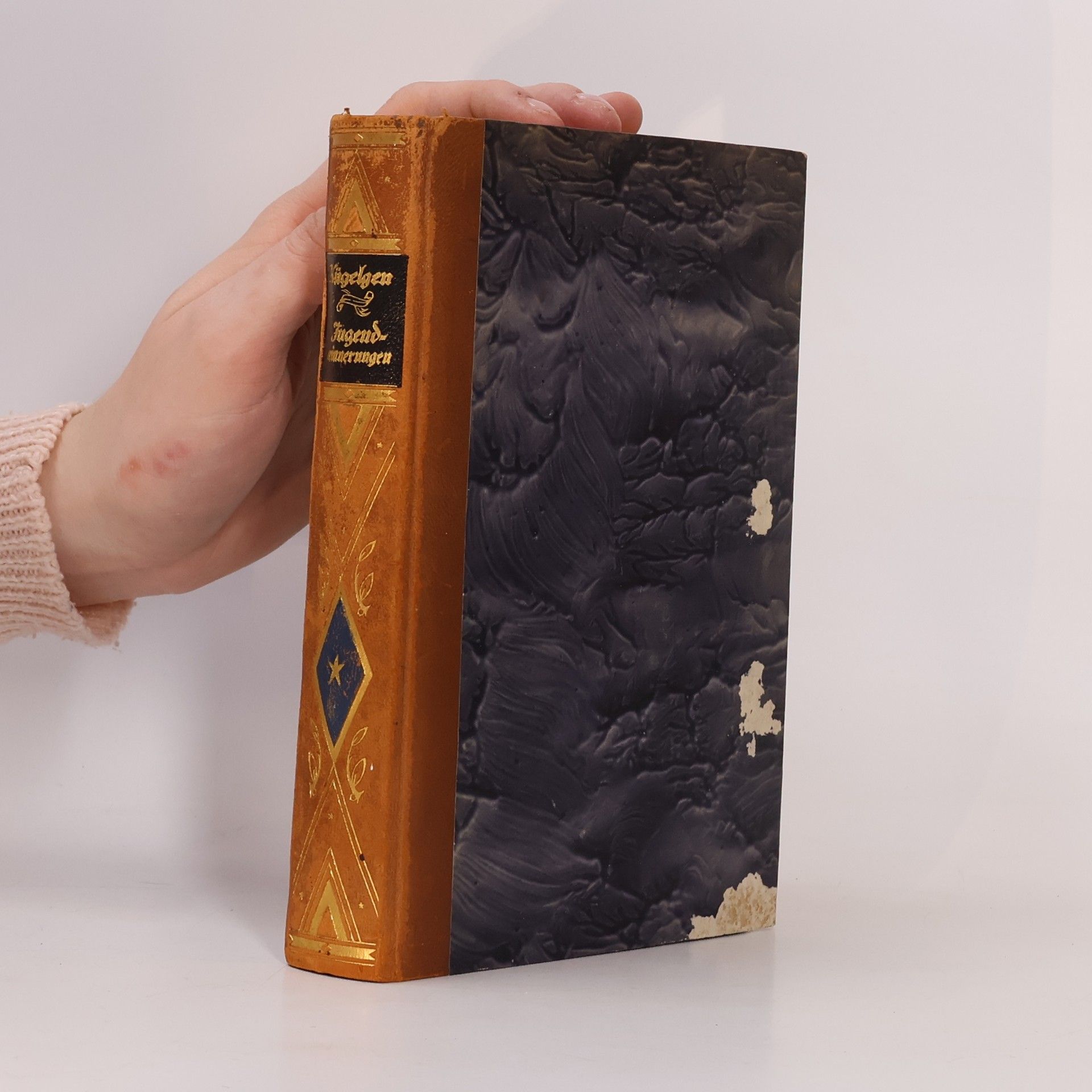 Wilhelm von Kügelgen Jugenderinnerungen eines alten Mannes