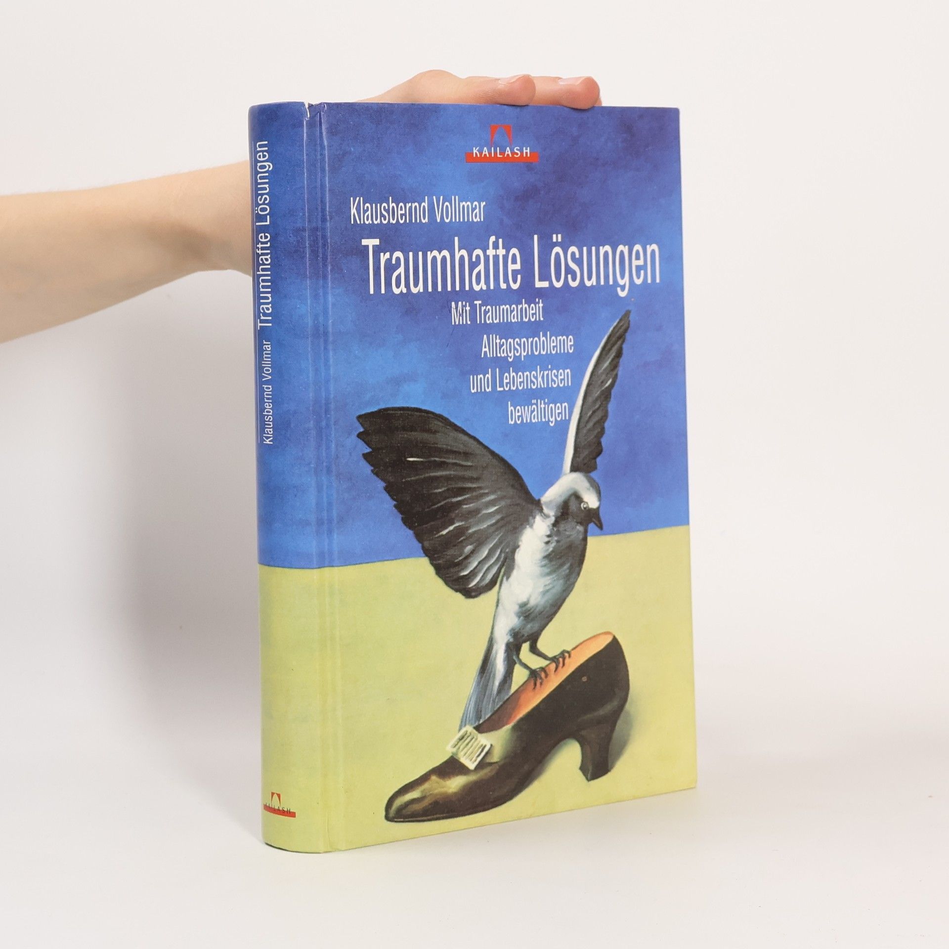 Klausbernd Vollmar Traumhafte Lösungen