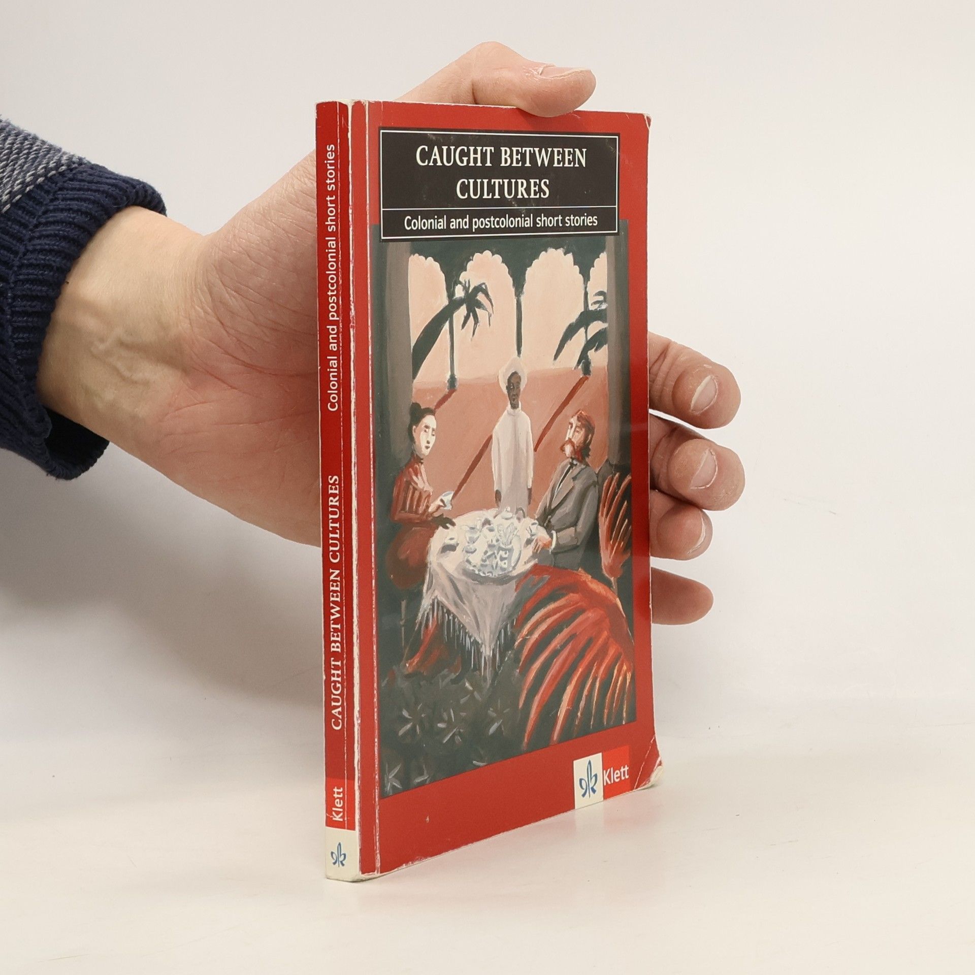 Kolektiv autorů Caught between Cultures