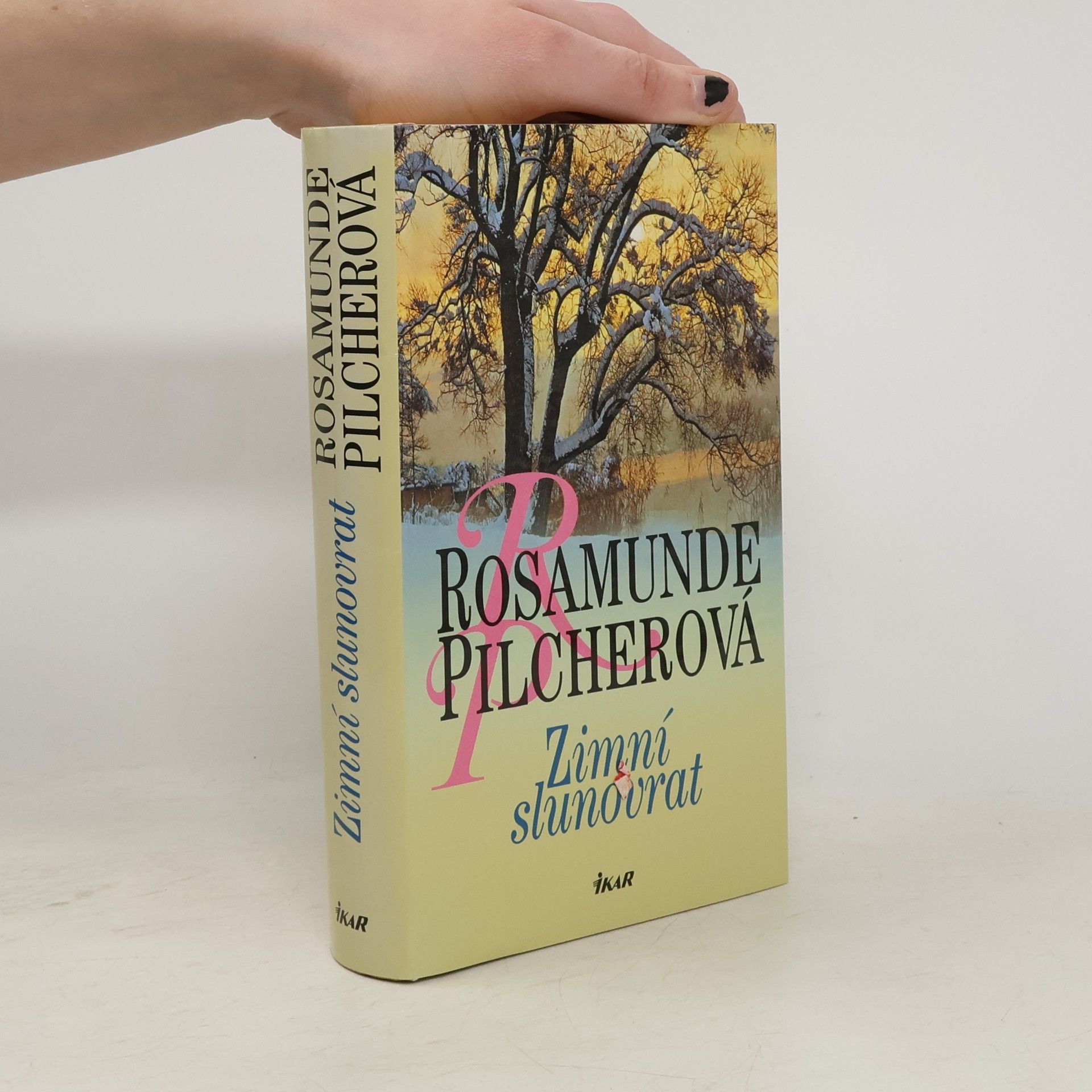 Rosamunde Pilcher Zimní slunovrat