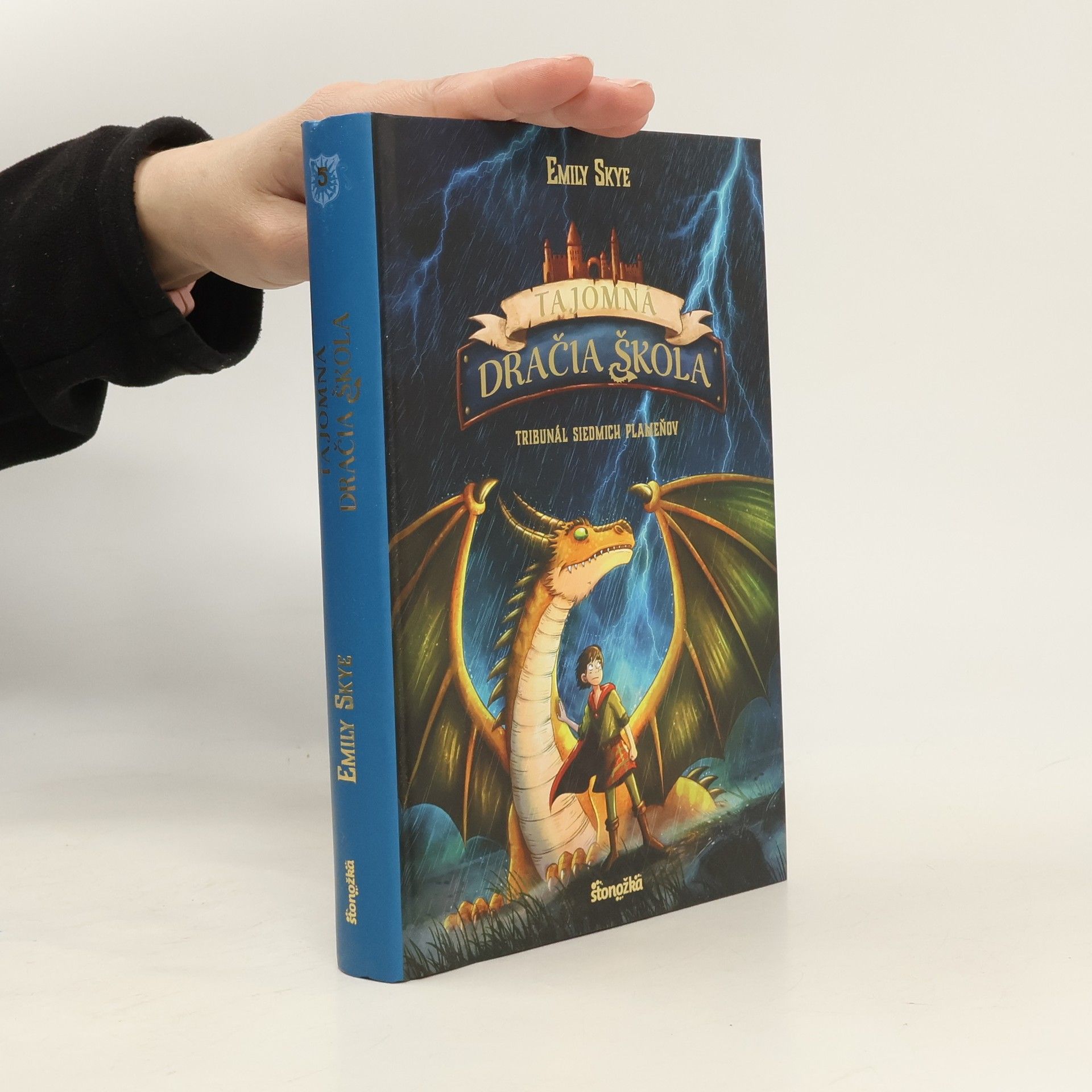 Emily Skye Tajomná dračia škola: Tribunál siedmich plameňov