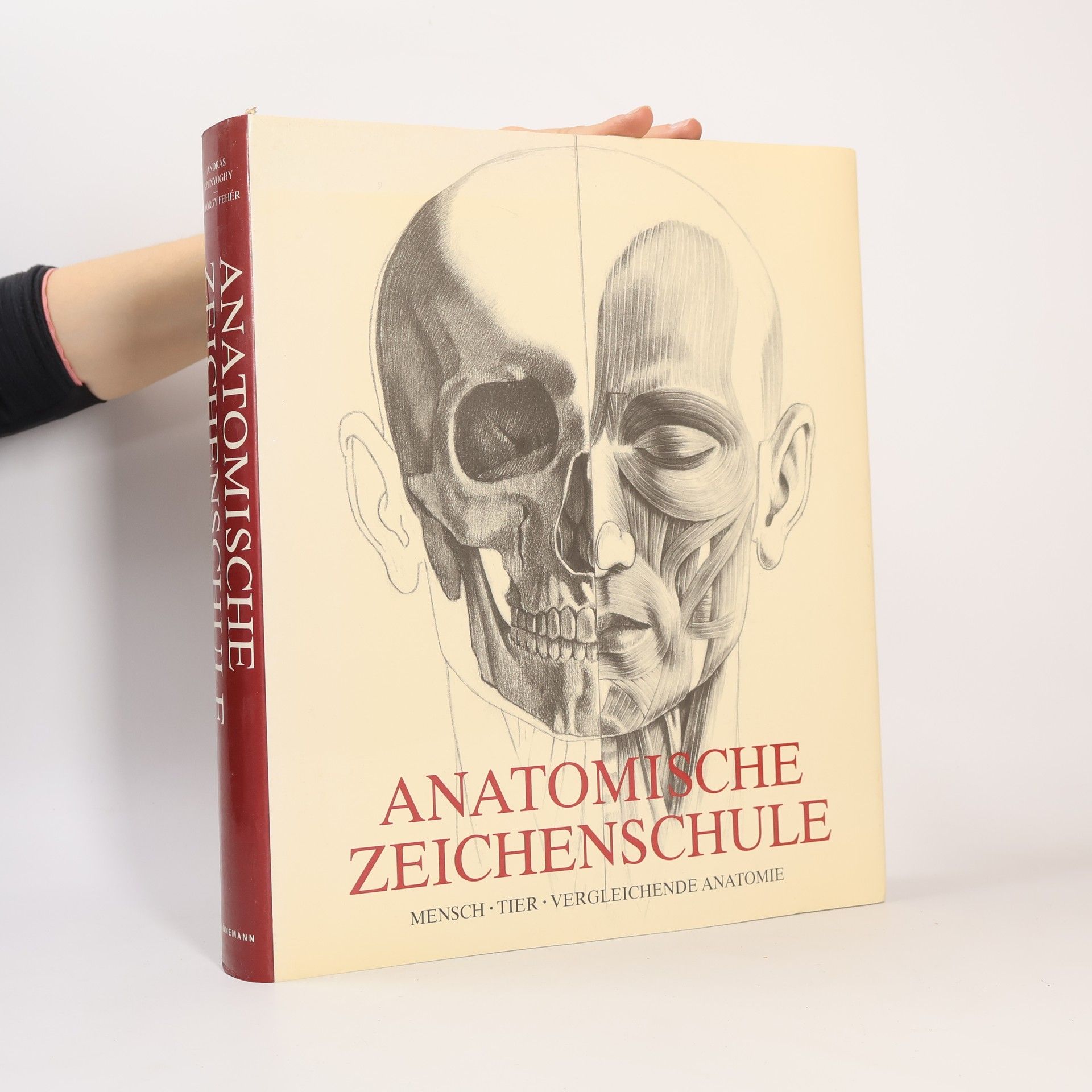 András Szunyoghy Anatomische Zeichenschule