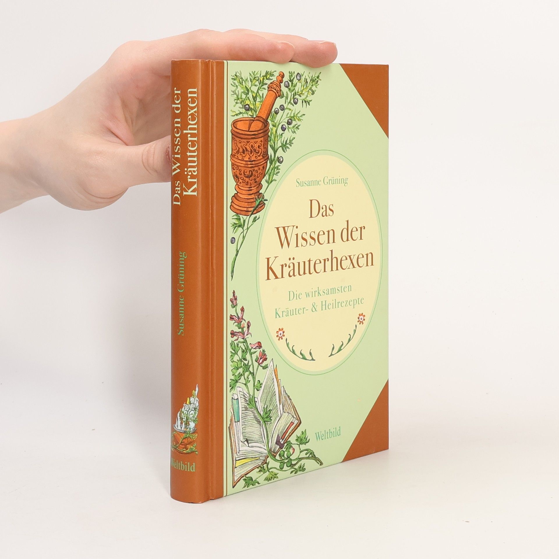 Susanne-Lilian Grüning Das Wissen der Kräuterhexen