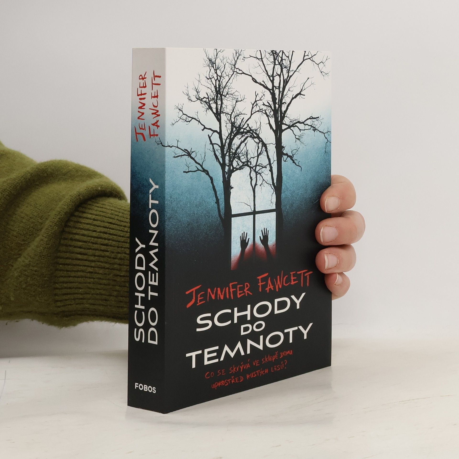 Jennifer Fawcett Schody do temnoty