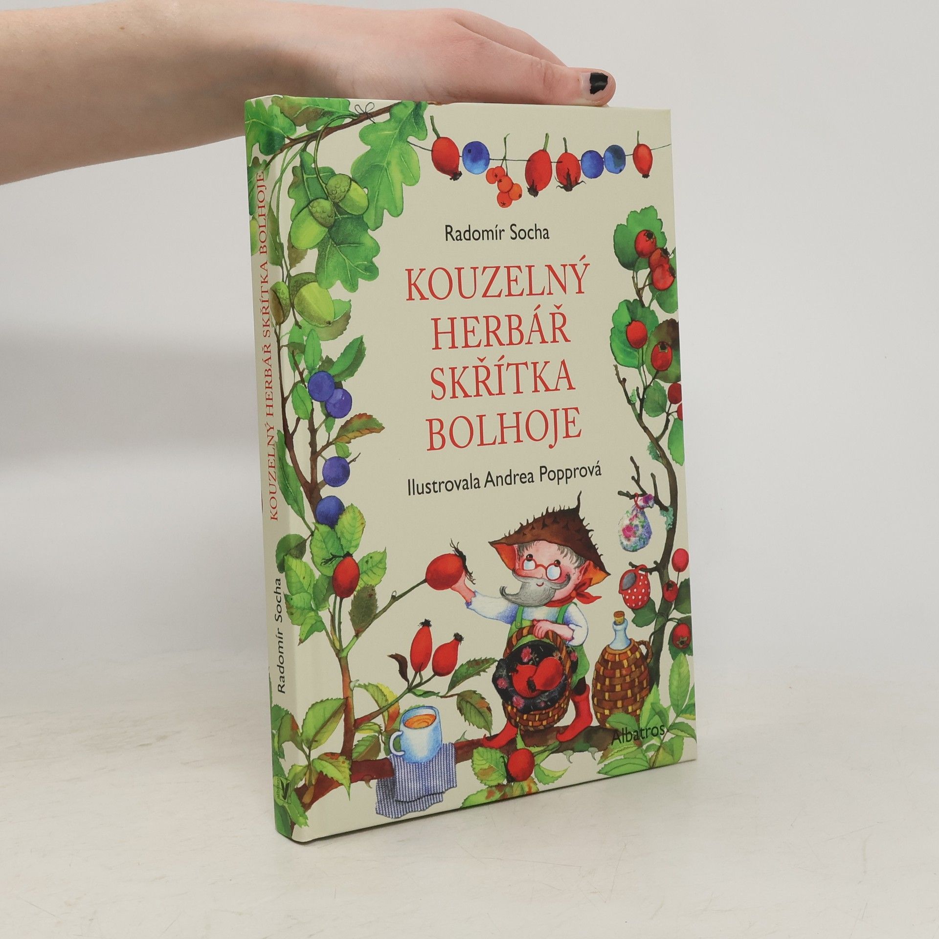 Radomír Socha Kouzelný herbář skřítka Bolhoje