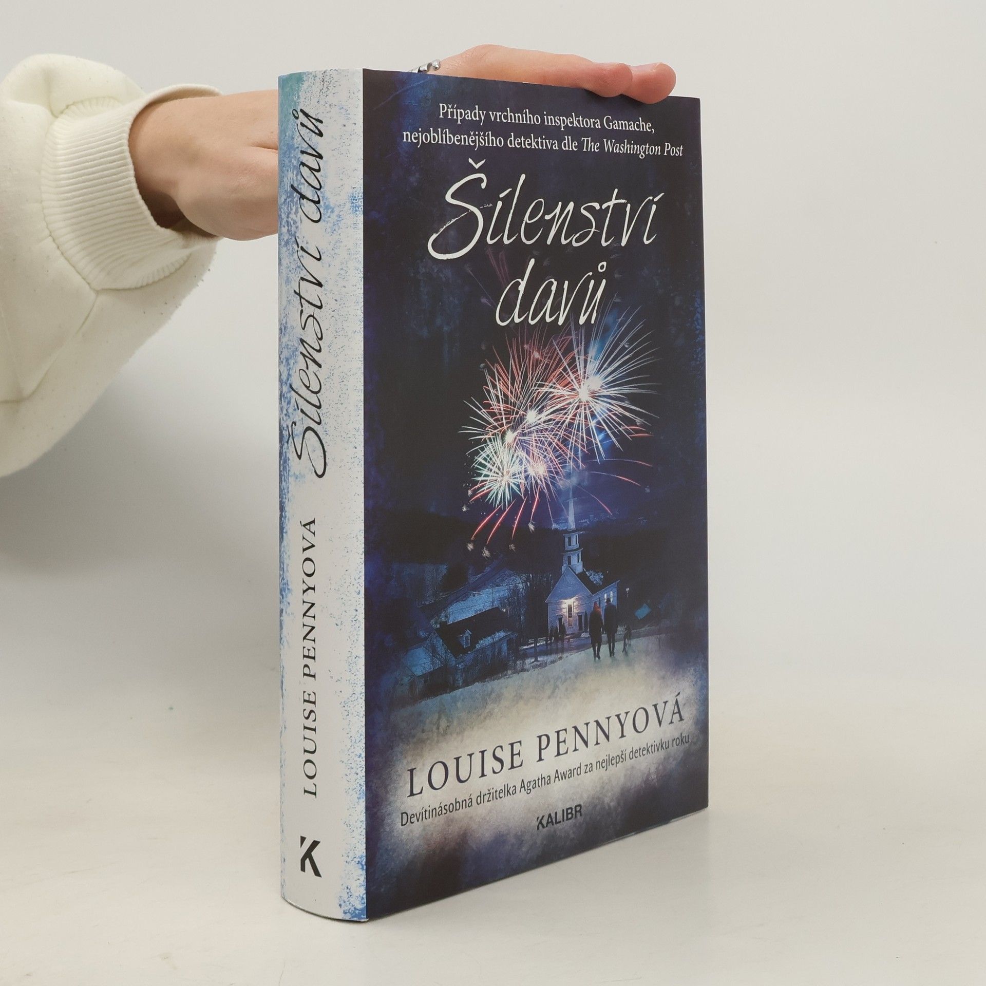 Louise Penny Šílenství davů