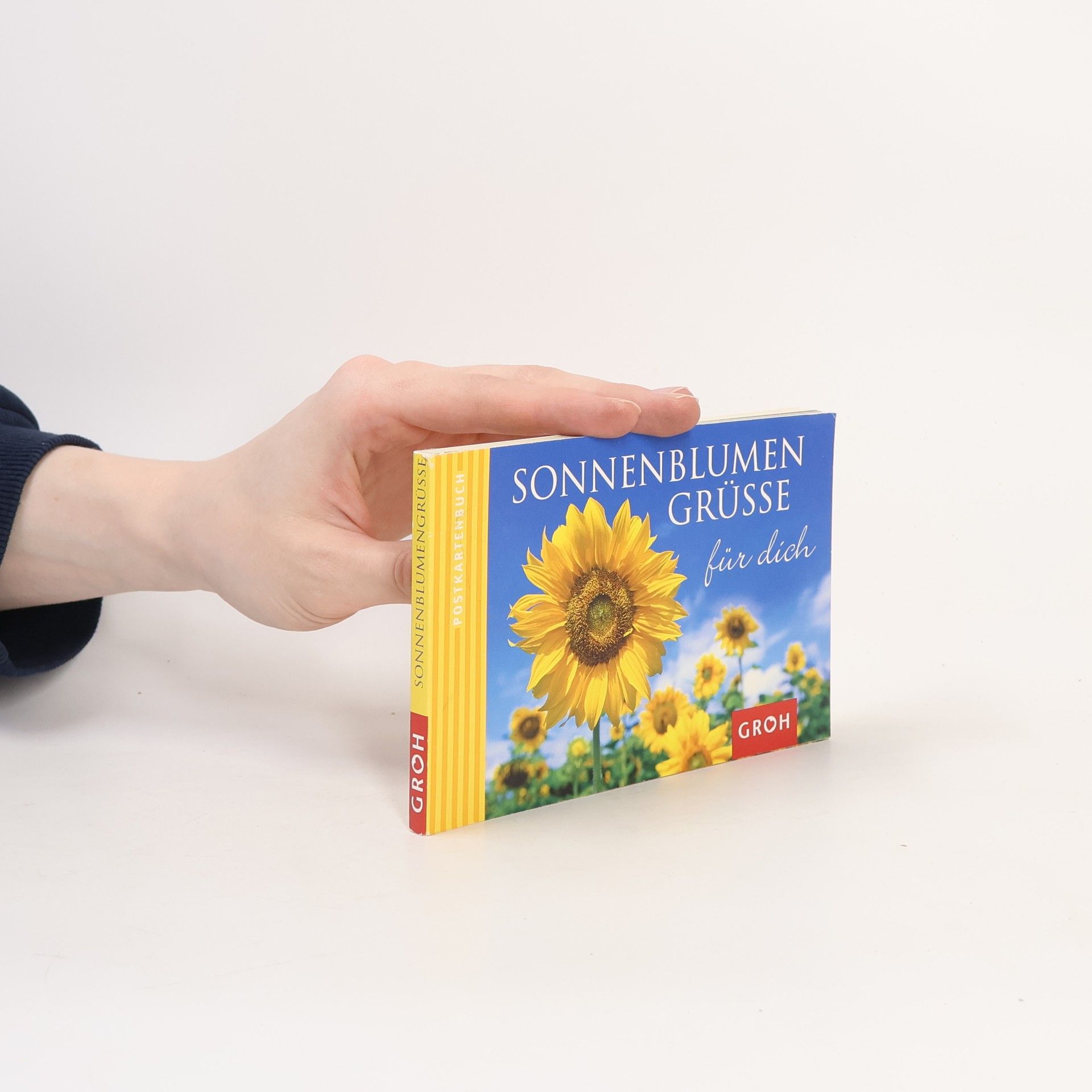 Autorenkollektiv Sonnenblumengrüße für dich