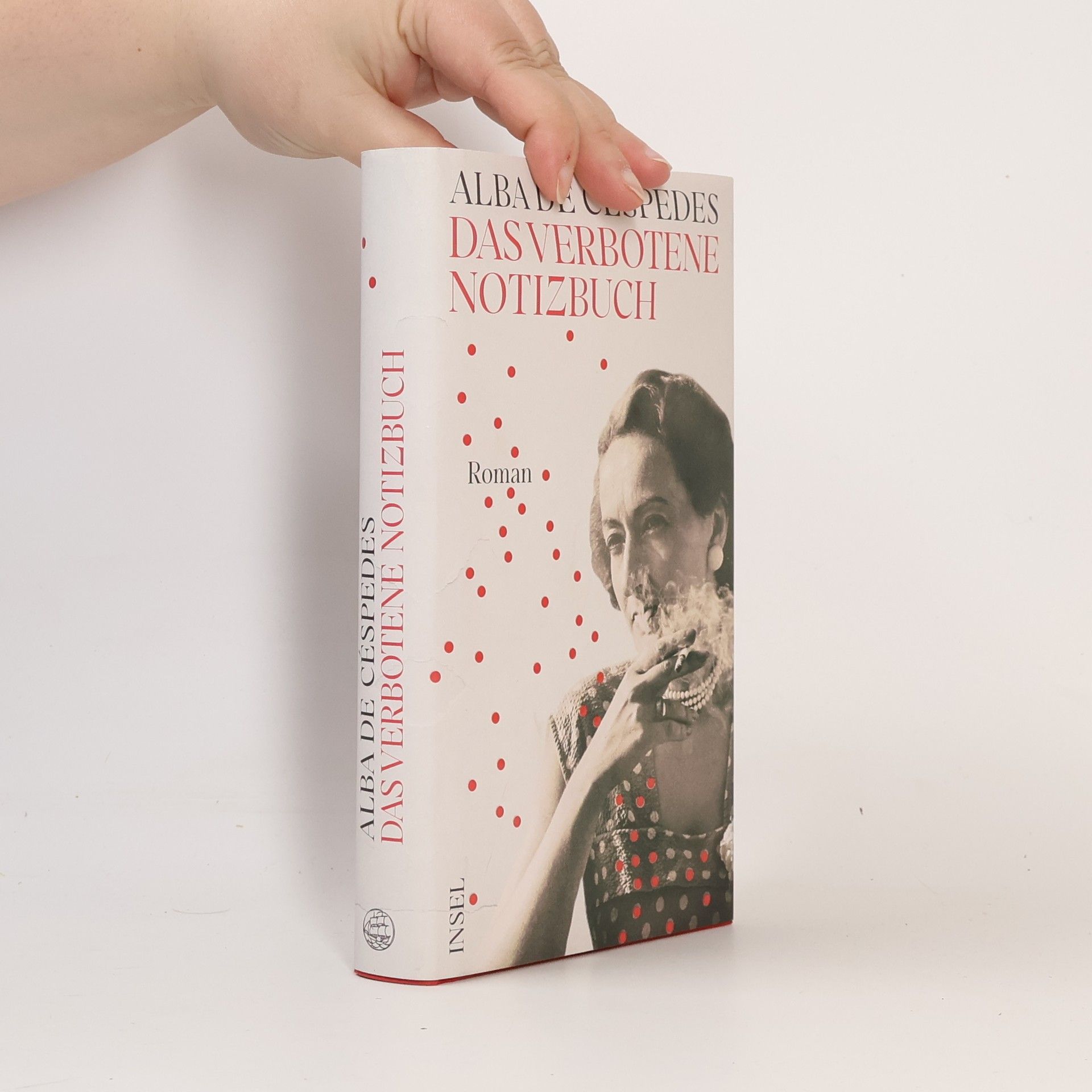 Alba de Céspedes Das verbotene Notizbuch