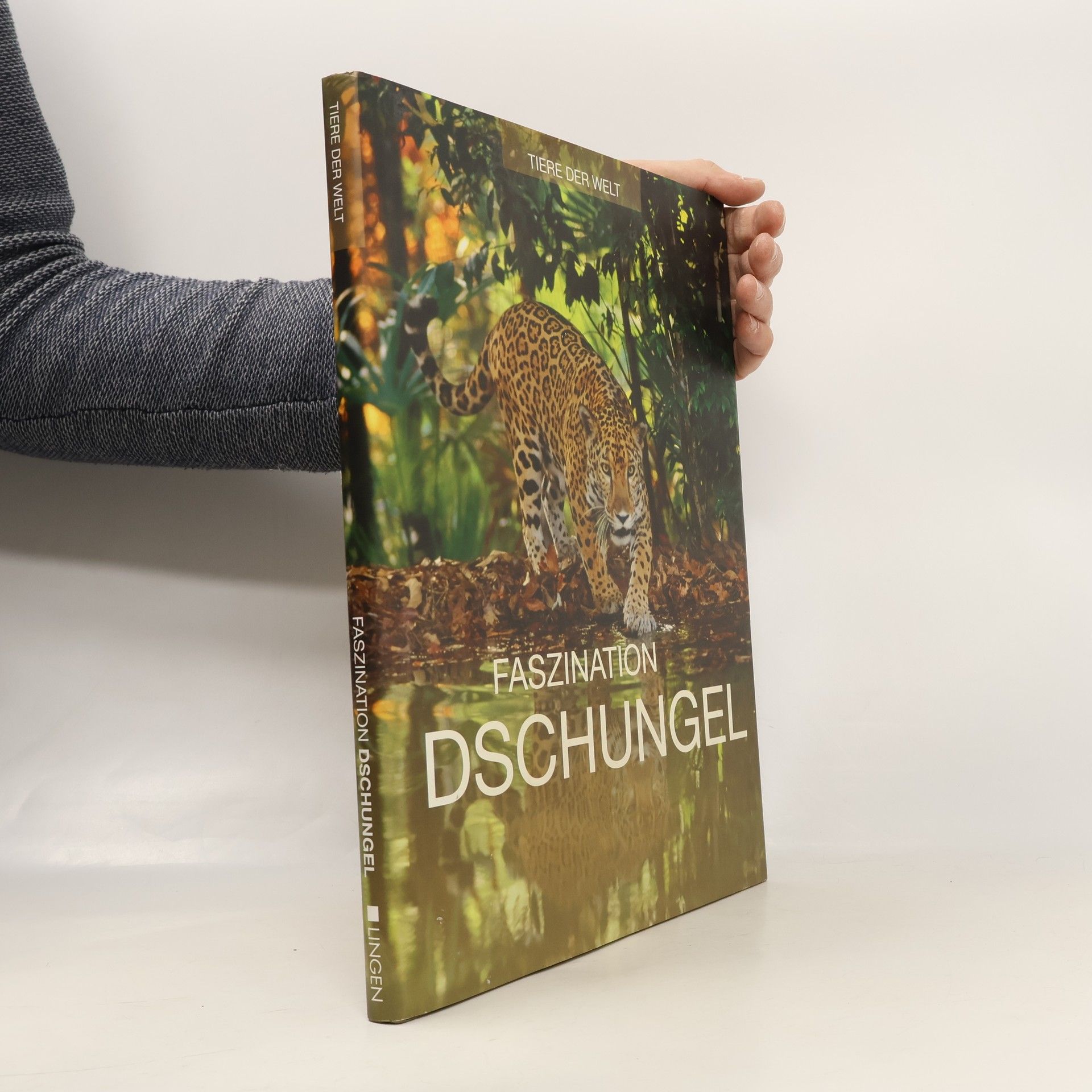 Various authors Faszination Dschungel