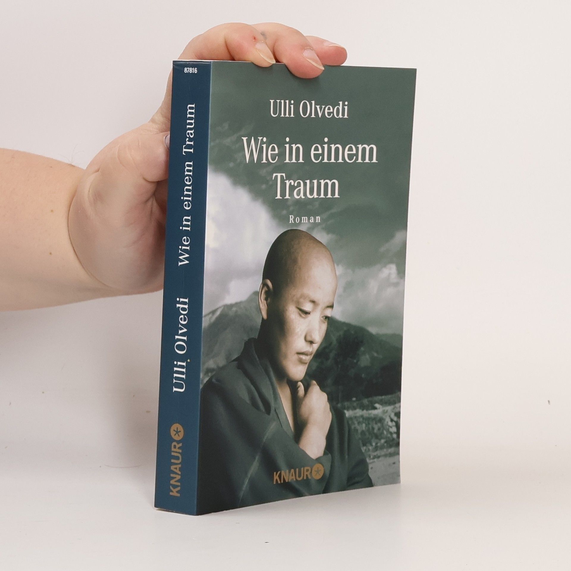 Ulli Olvedi Wie in einem Traum