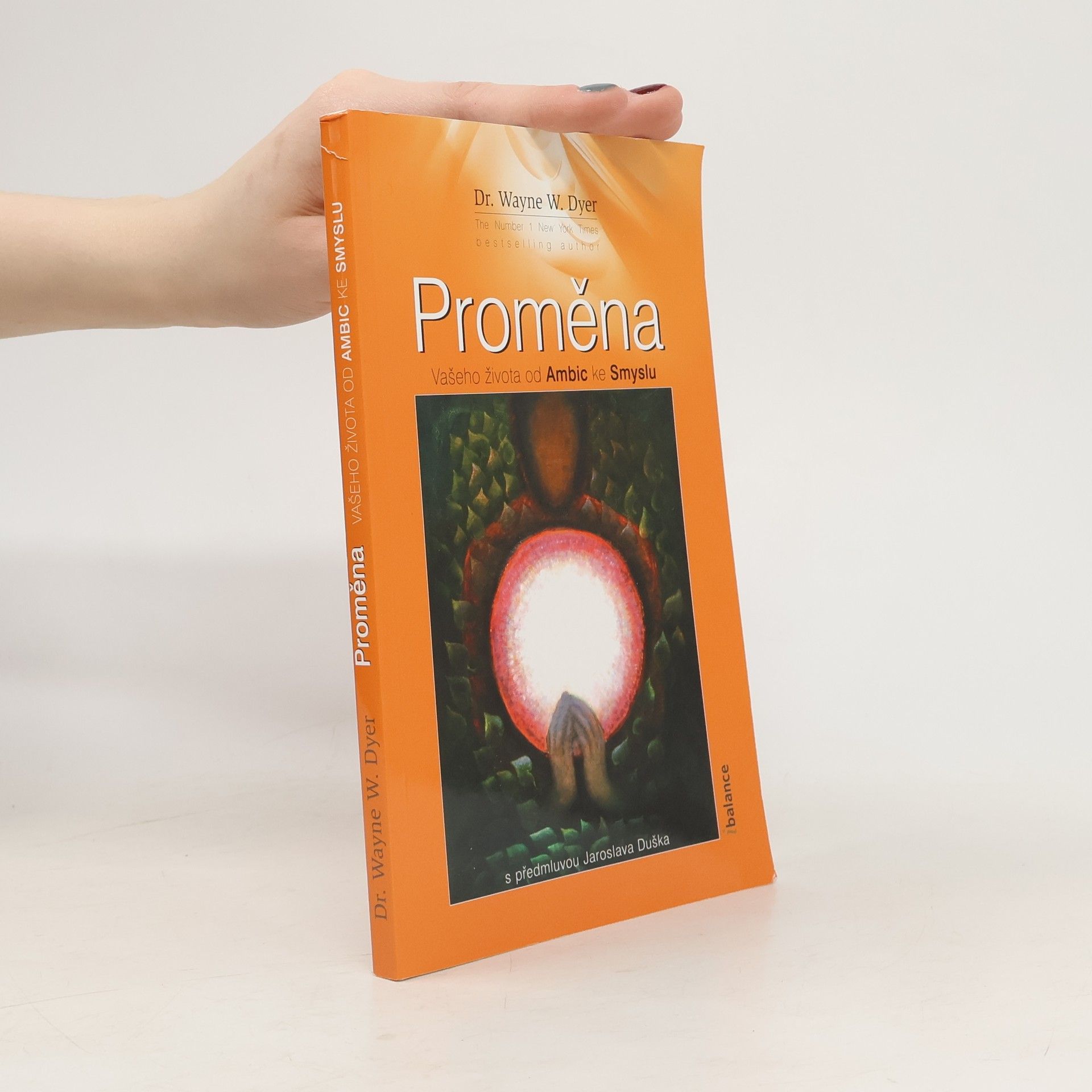 Wayne W. Dyer Proměna vašeho života od ambic ke smyslu