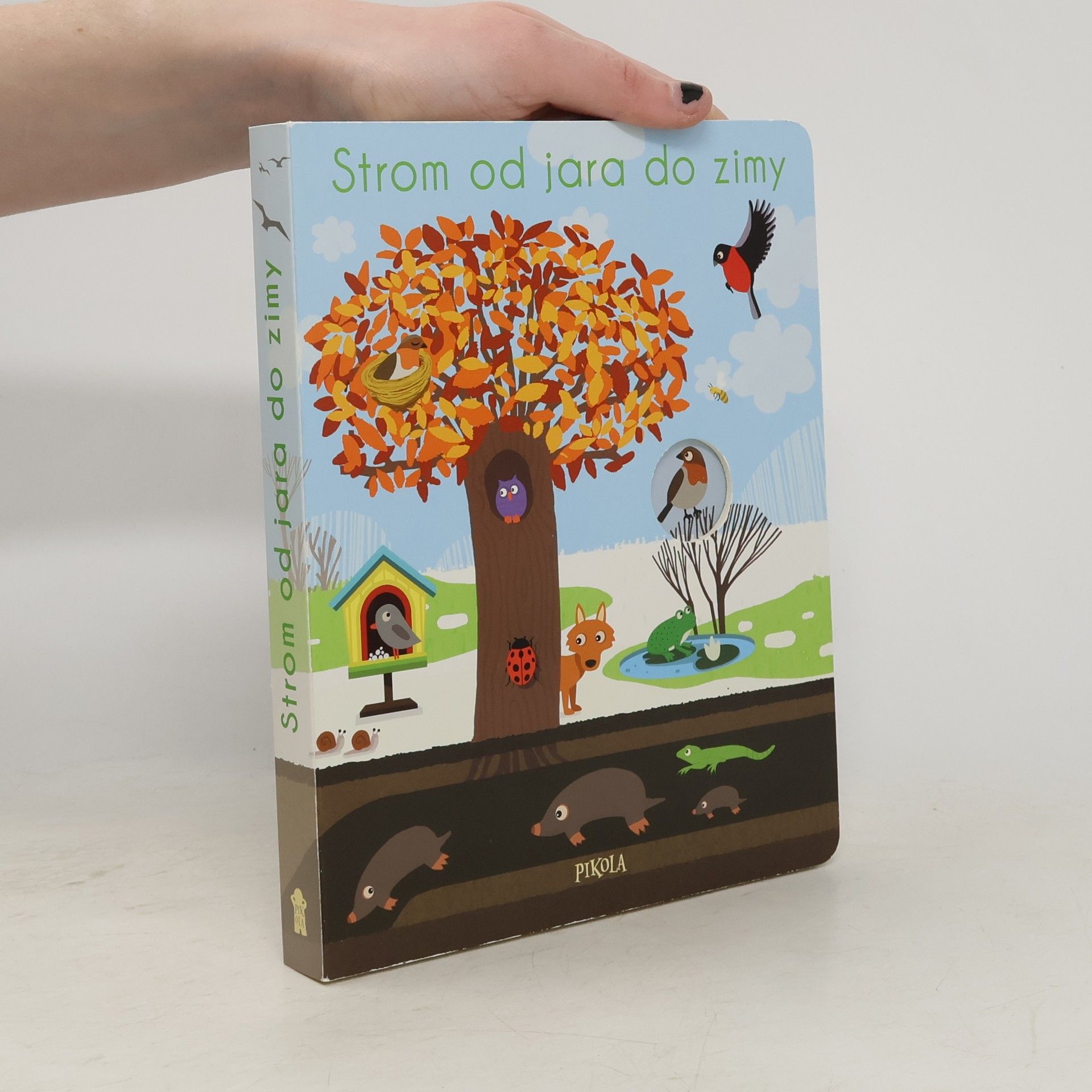 Nicole Colas des Francs Strom od jara do zimy